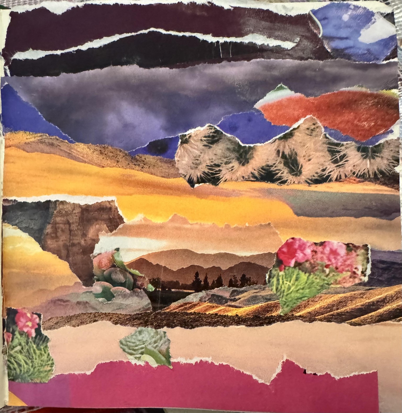 Arizona desert - image 1 - student project