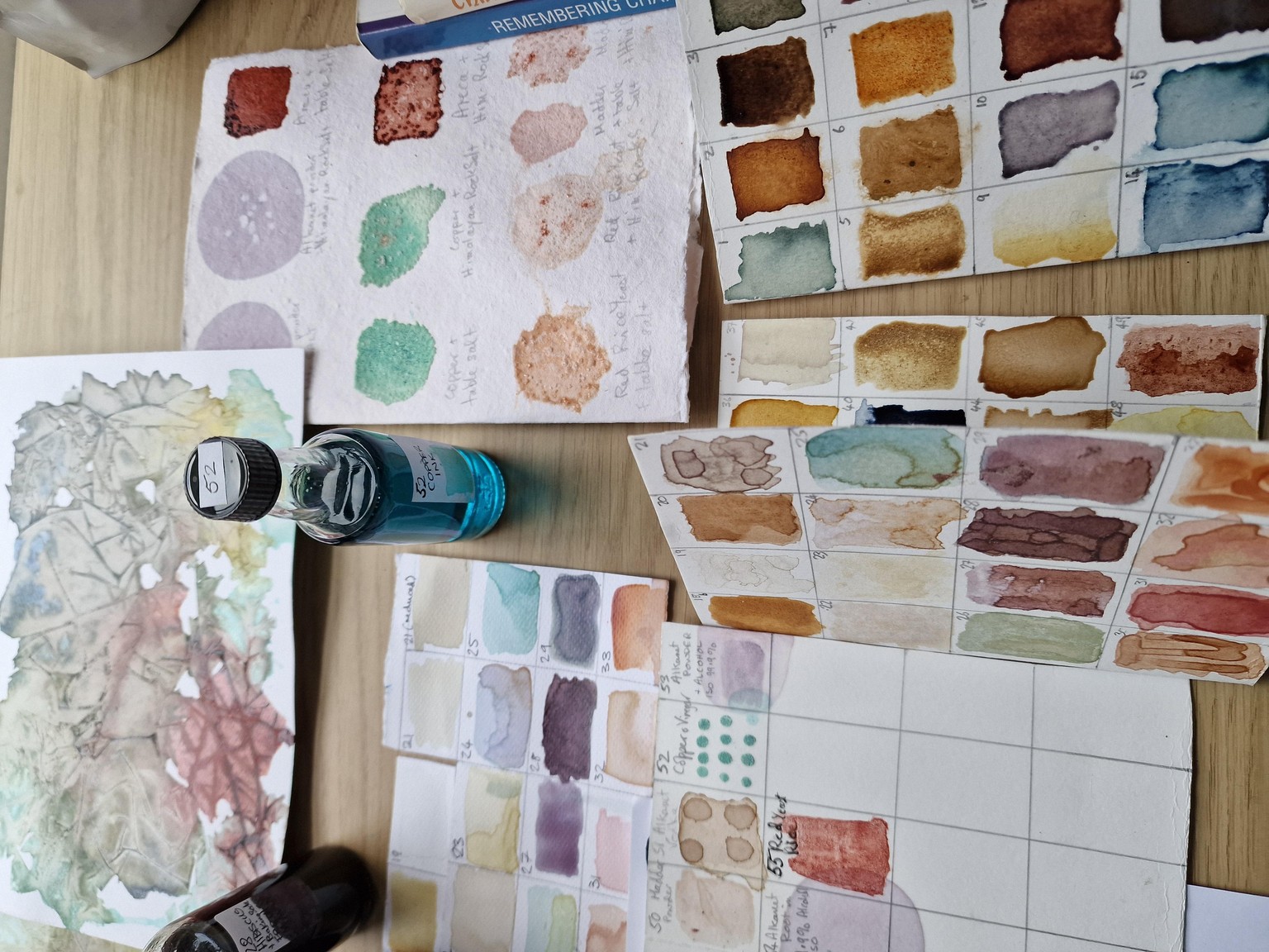 Creating Fab Natural Inks - image 2 - student project