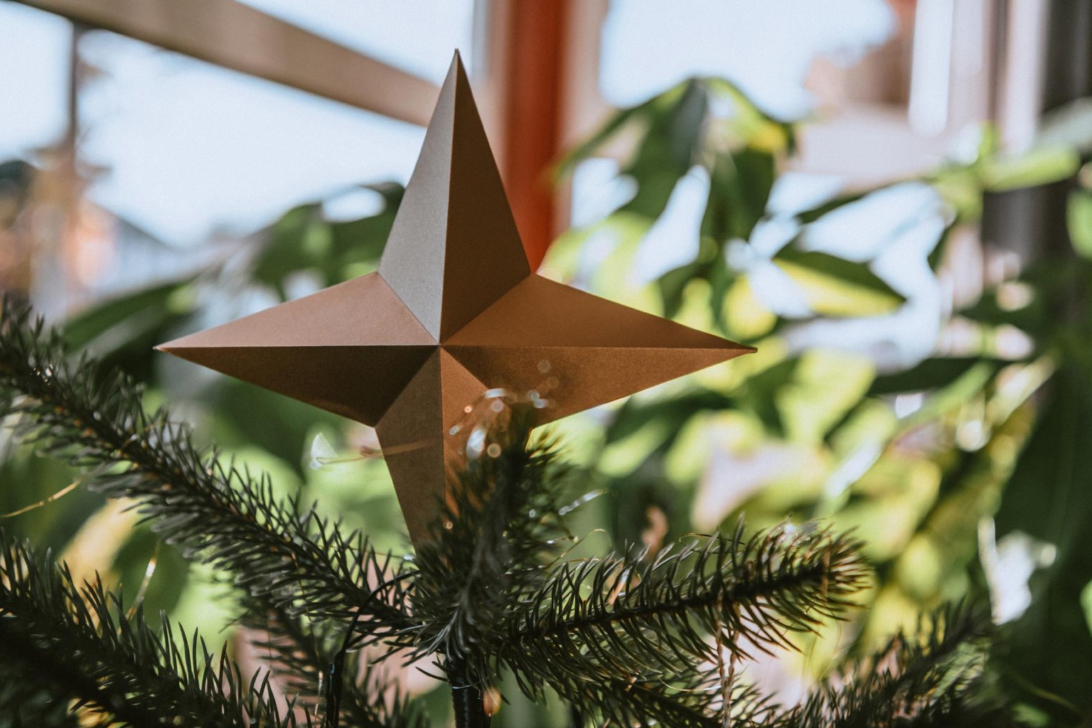 Star Ornaments for Christmas Decor - image 2 - student project