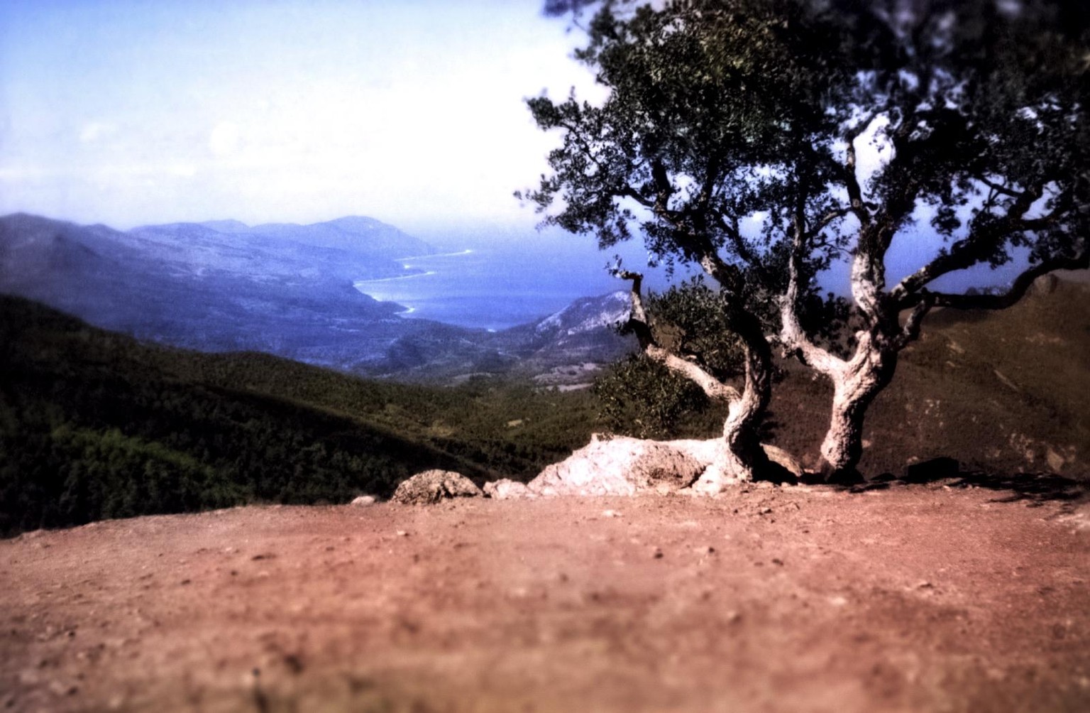 The Algerian Collection in Color - image 10 - student project