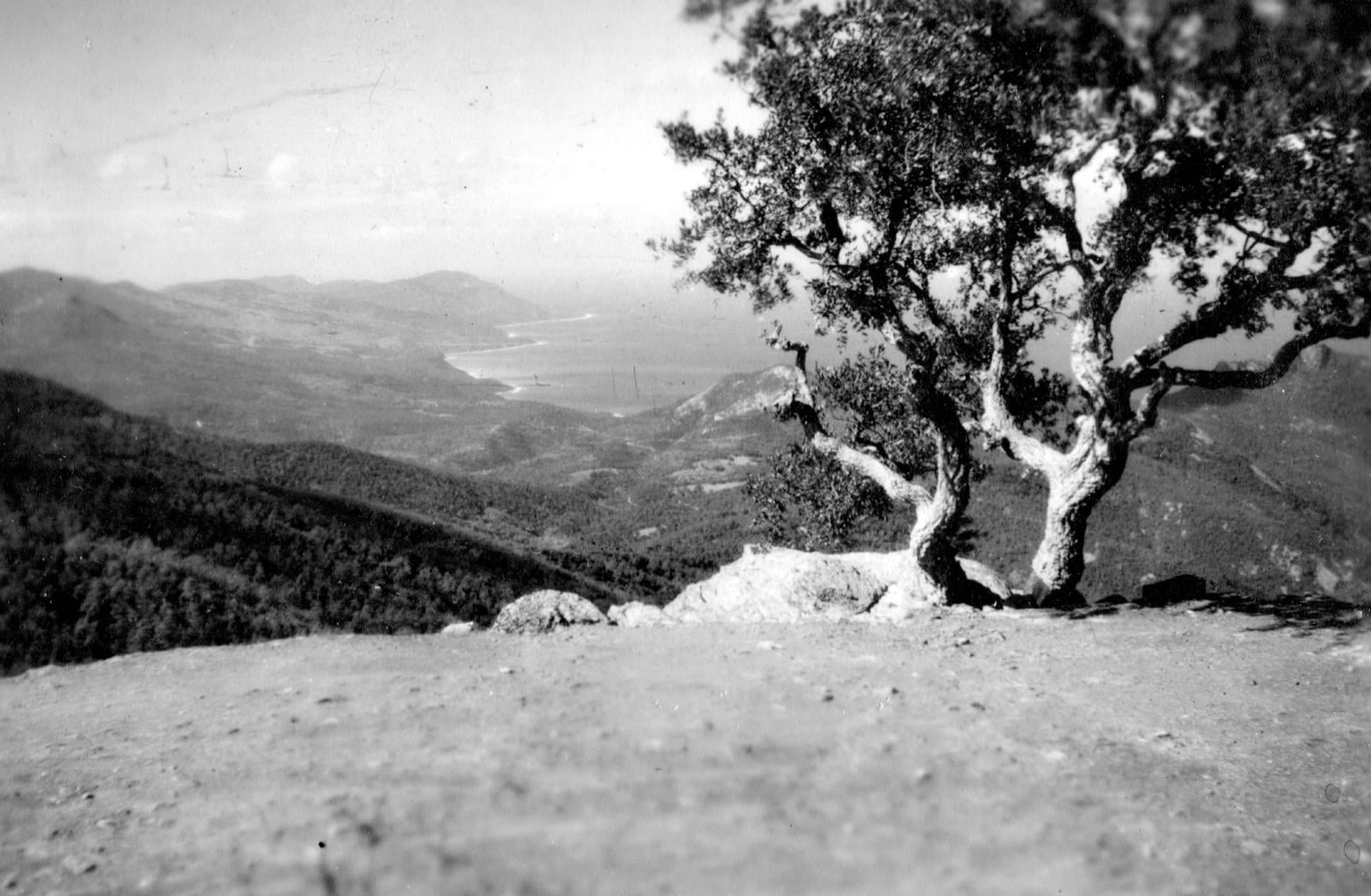 The Algerian Collection in Color - image 9 - student project