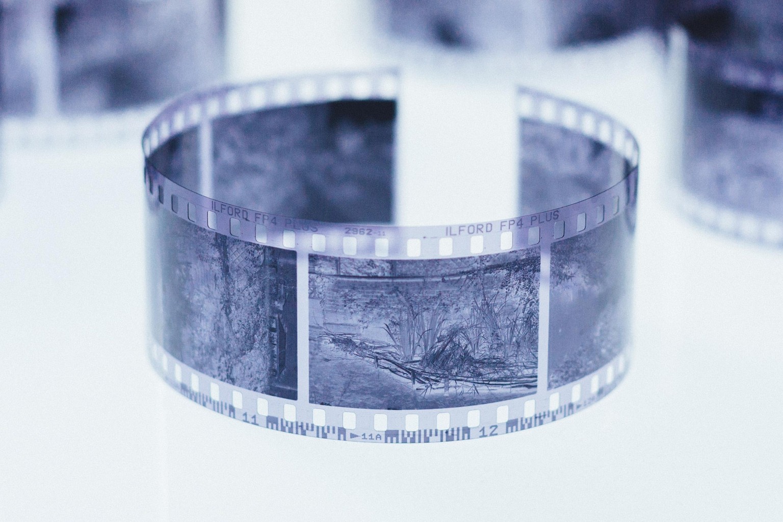 Film is not dead! - image 10 - student project