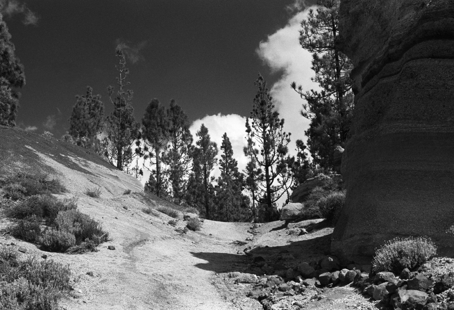Colour Filters in Black & White Photography - image 1 - student project