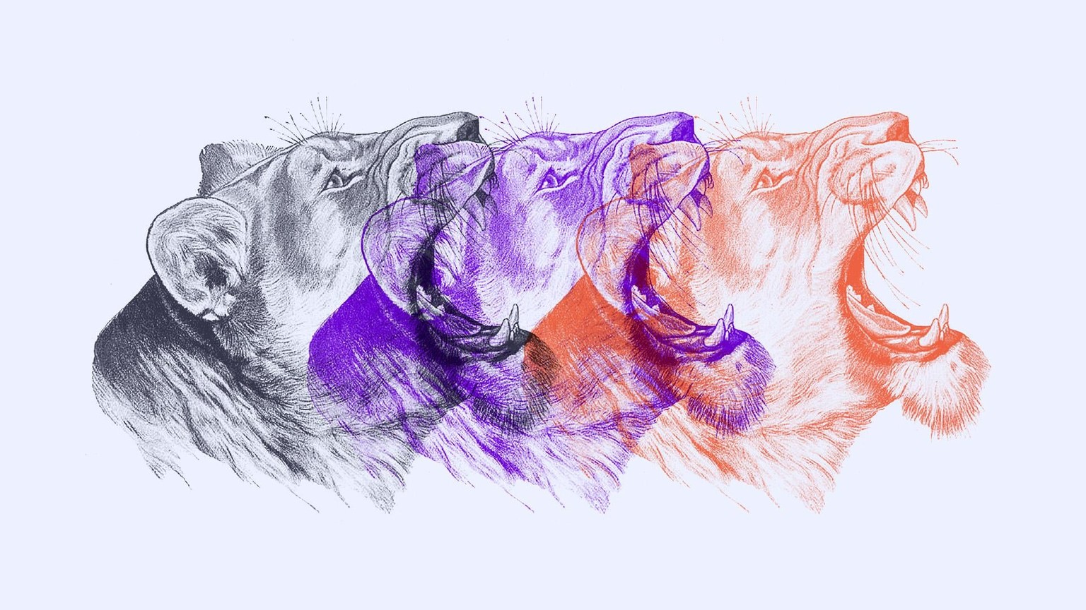 Duotone Experiments - image 9 - student project