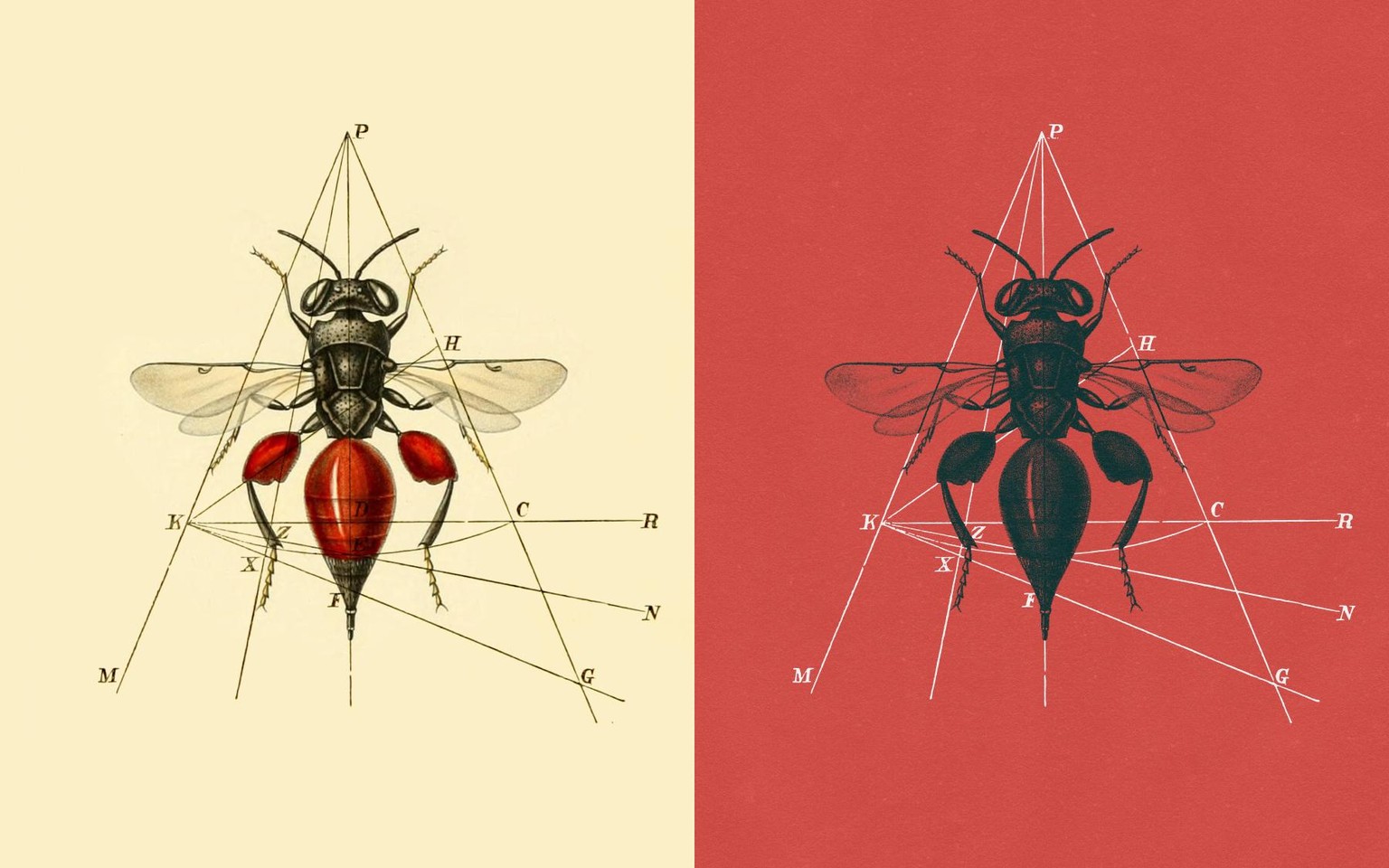 Vintage Minimalist Collages - image 2 - student project
