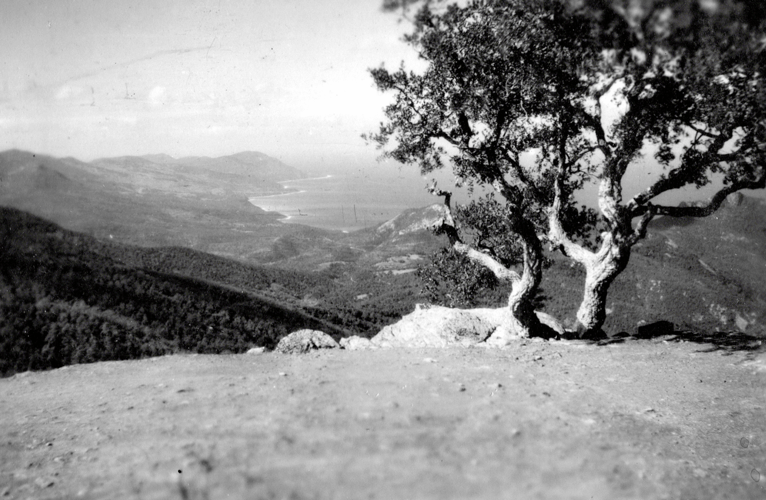 The Algerian Collection in Color - image 8 - student project