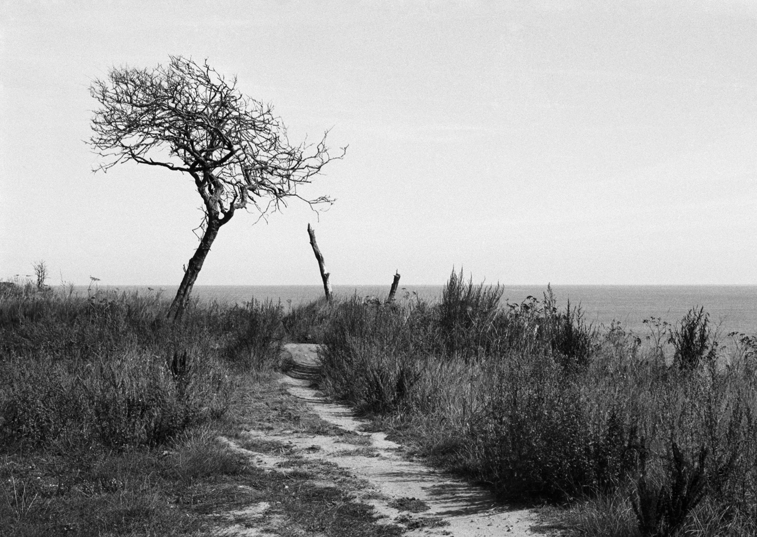 Southwold Memories - image 6 - student project