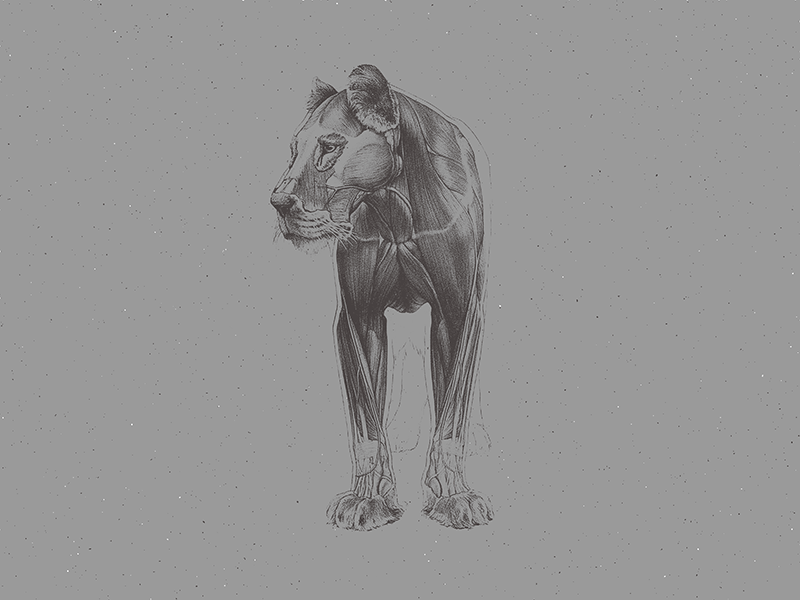 Duotone Experiments - image 11 - student project