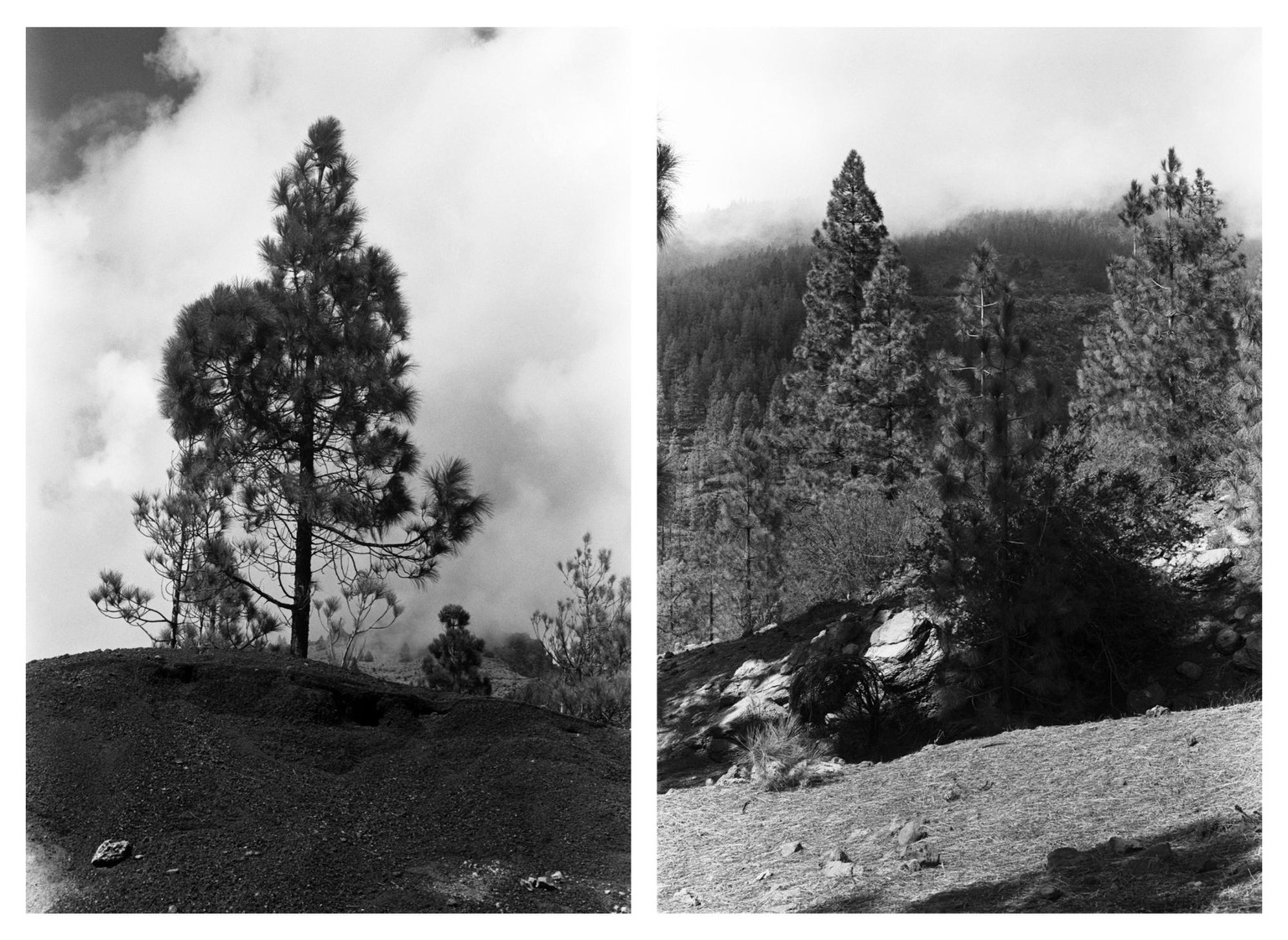 Colour Filters in Black & White Photography - image 2 - student project
