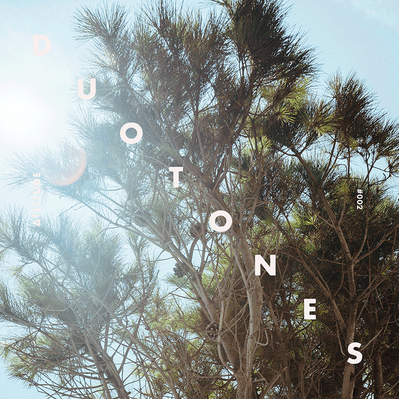 Duotone Experiments - image 19 - student project
