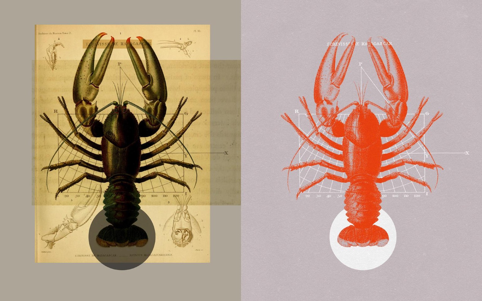 Vintage Minimalist Collages - image 5 - student project