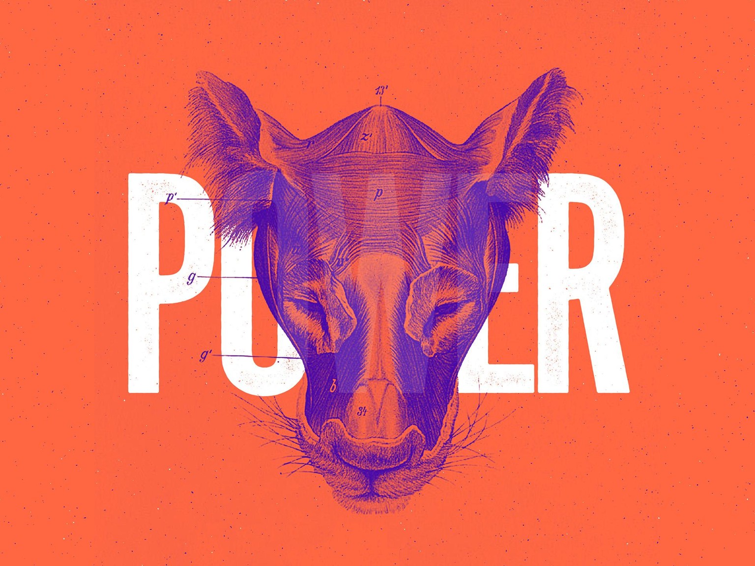 Duotone Experiments - image 6 - student project