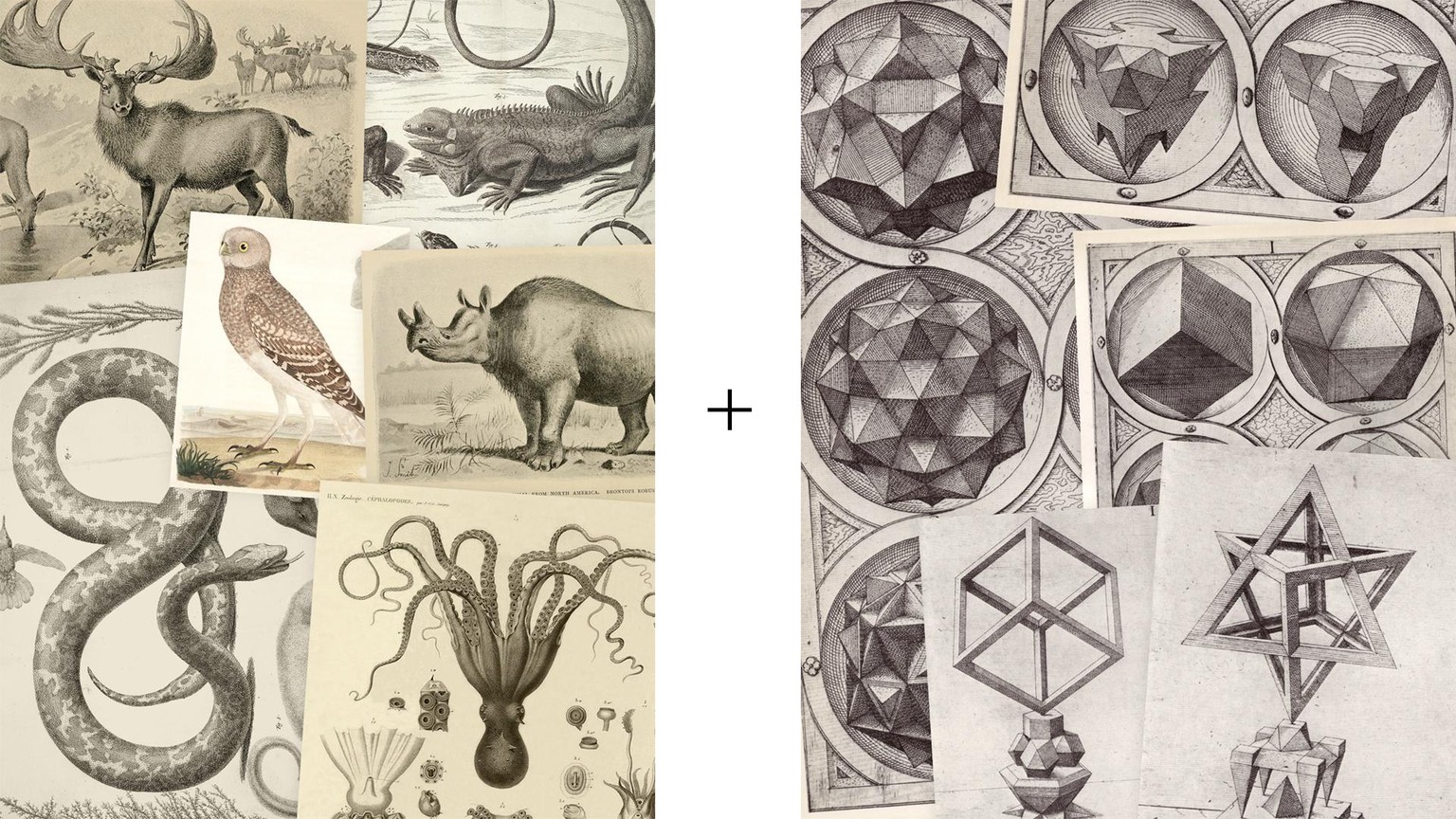 Archetypes - image 1 - student project