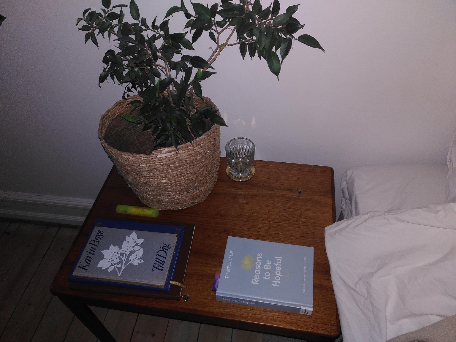 Reading! - image 1 - student project