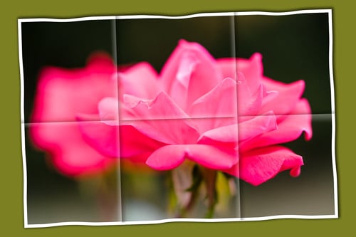A Rose Keepsake - image 1 - student project