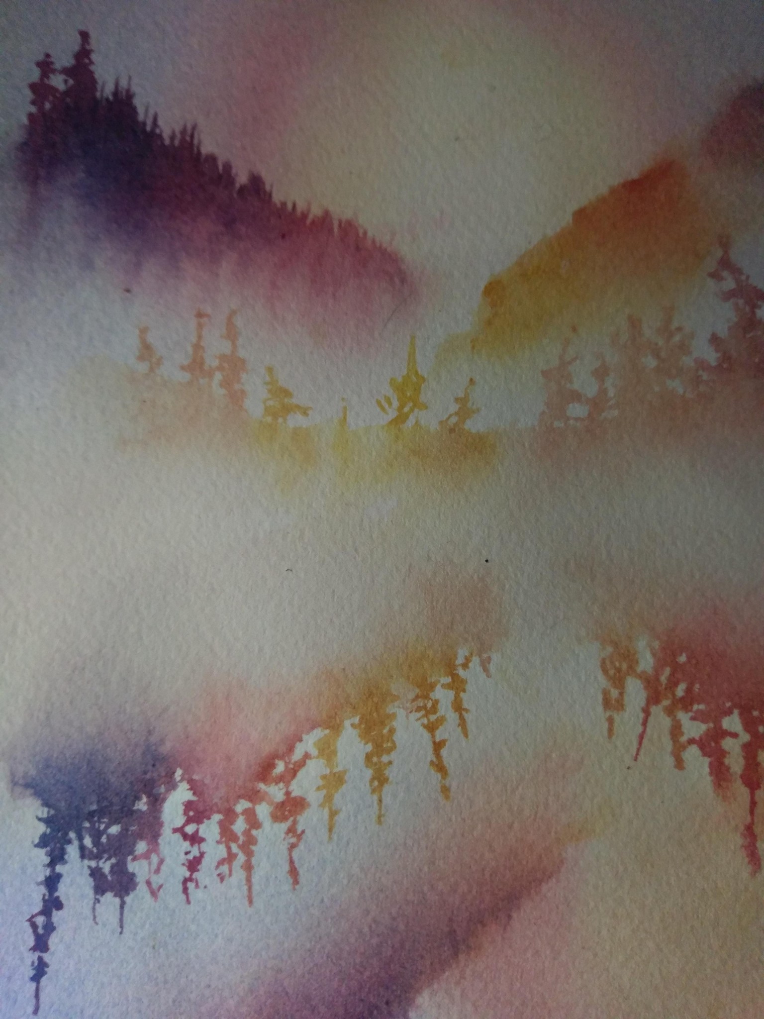 Misty Pine Reflections - image 1 - student project