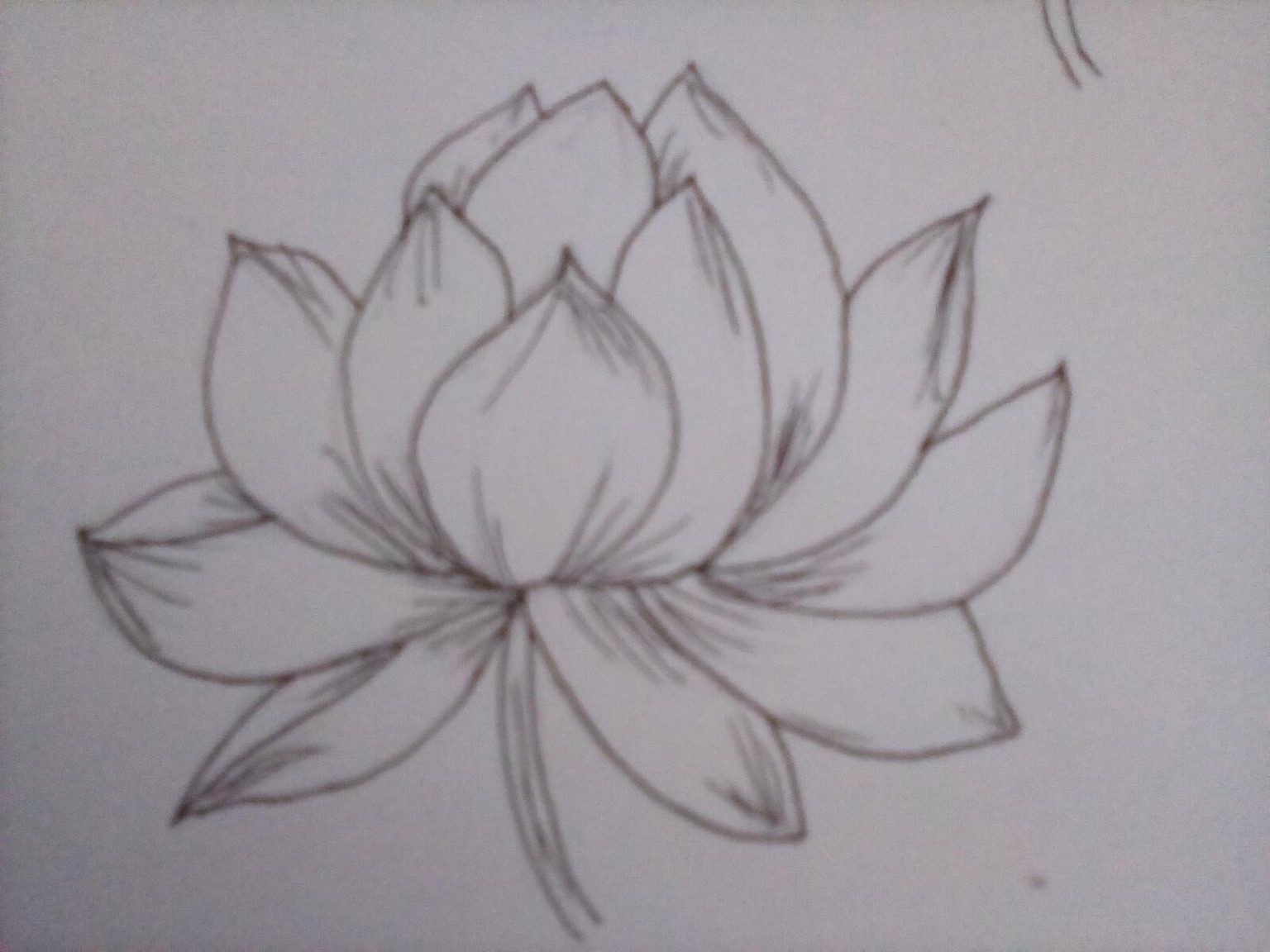 Lotus - image 1 - student project