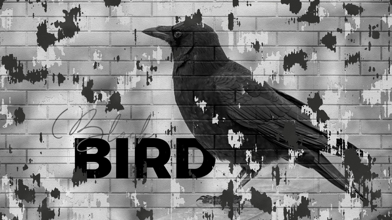 Black Bird - image 1 - student project