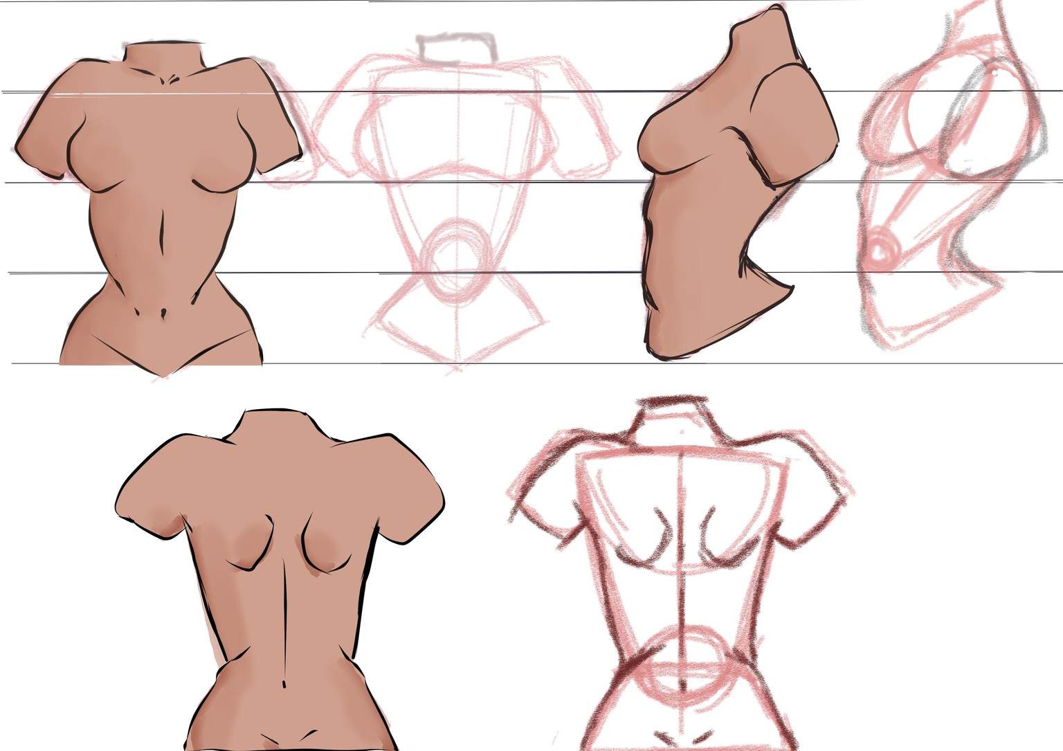 Female Torso - image 1 - student project
