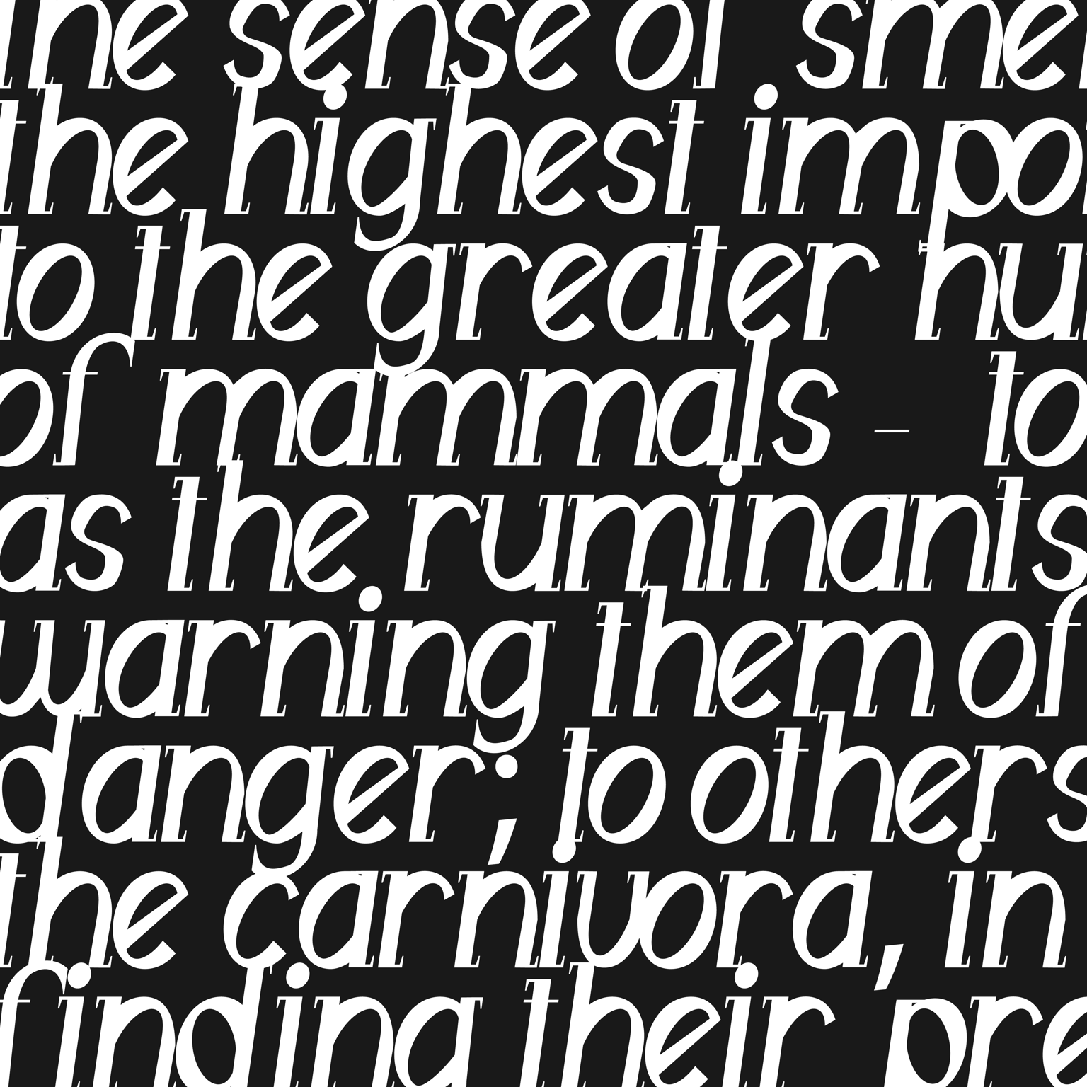 Lowercase Typeface - image 3 - student project
