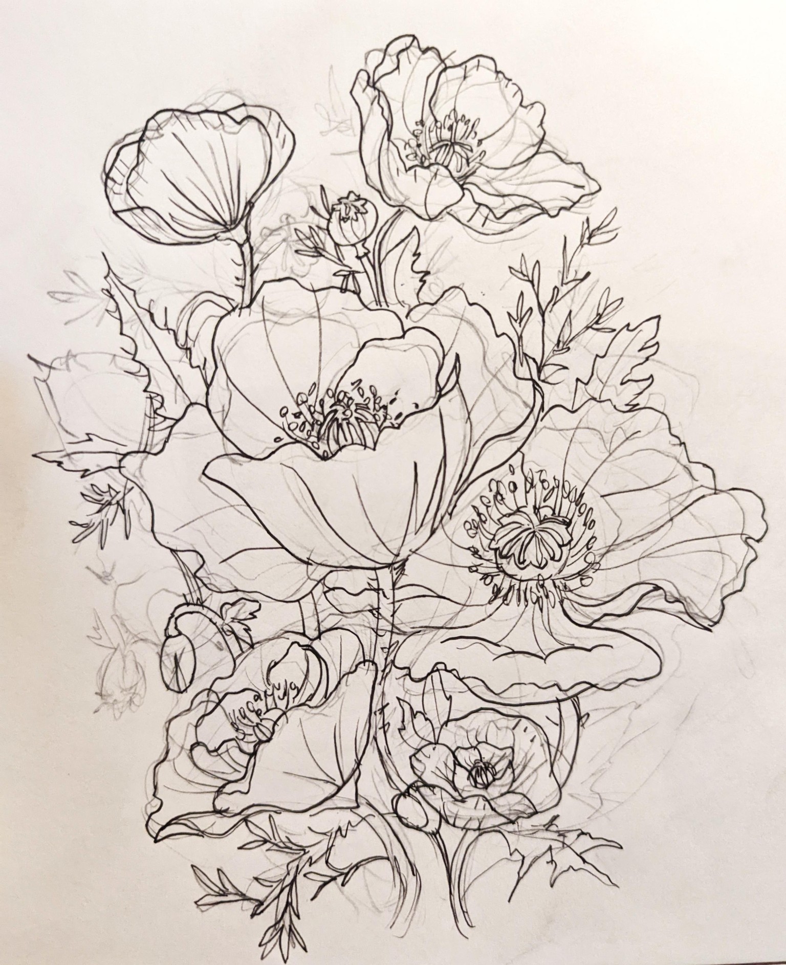 Poppy sketch - image 1 - student project