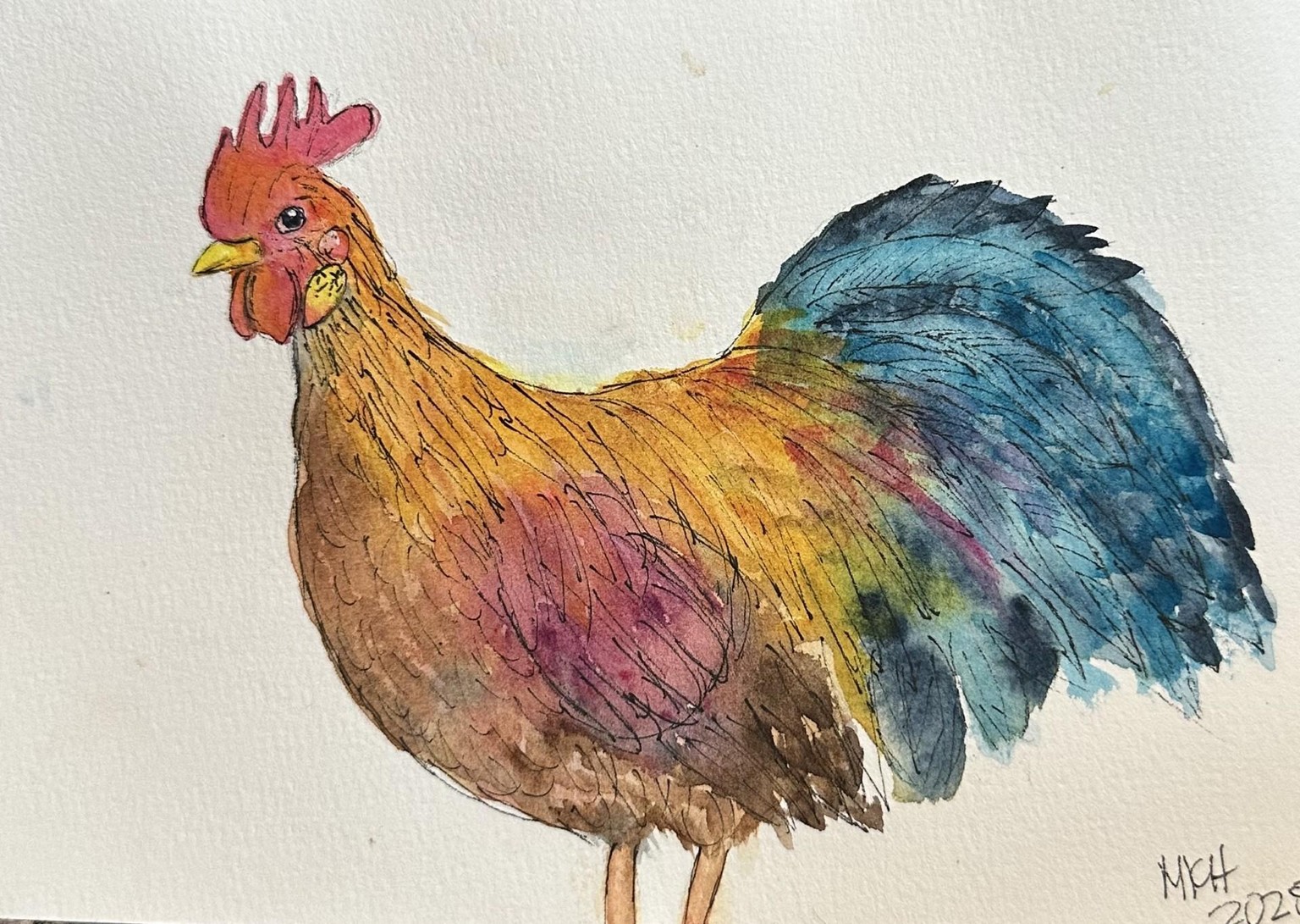 Cockerel - image 1 - student project
