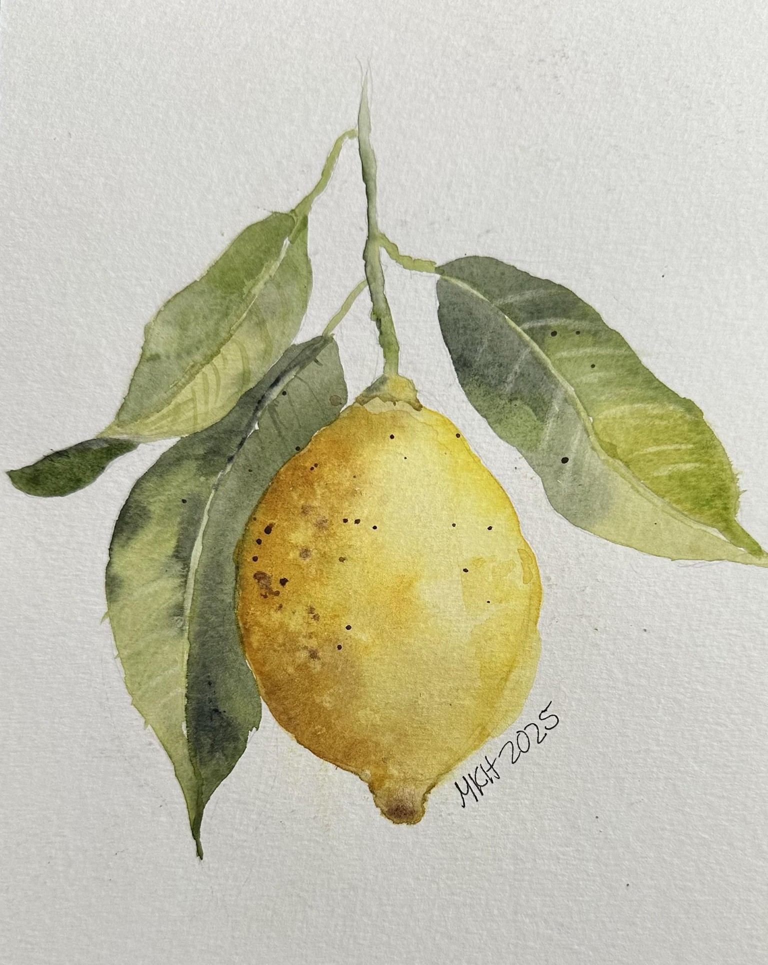 Lemon Part 1 - image 2 - student project