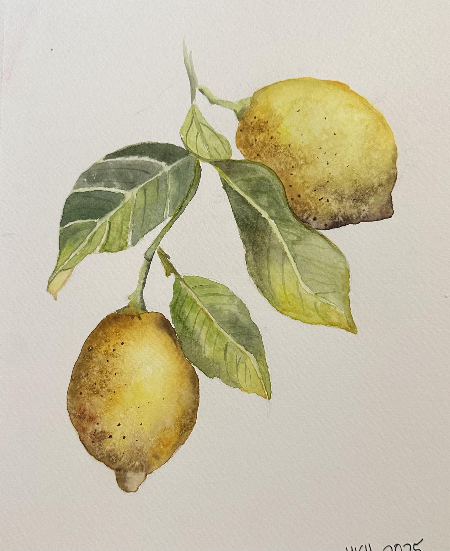 Lemon Part 1 - image 1 - student project