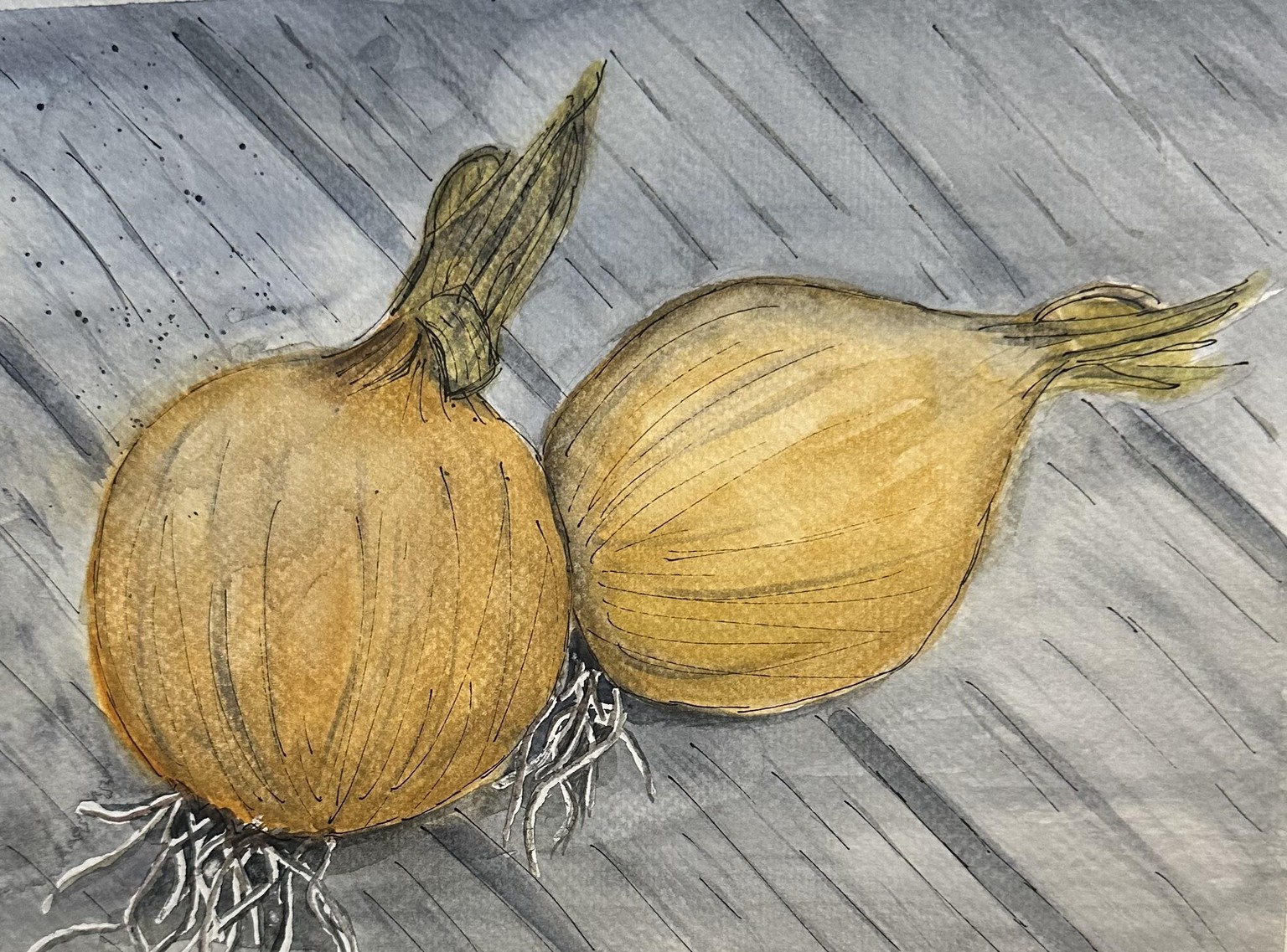 Onions - image 1 - student project