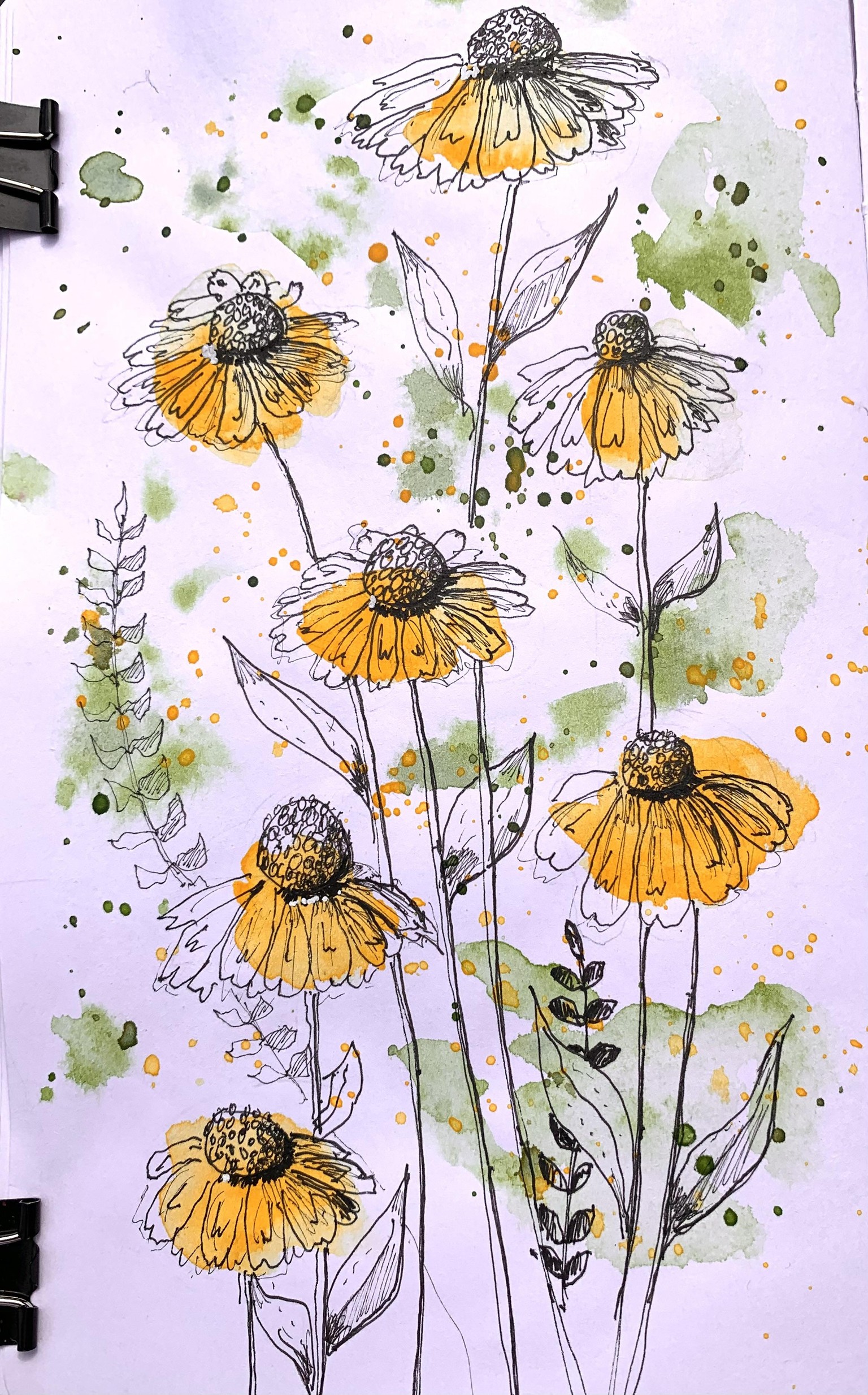 Echinacea - image 1 - student project