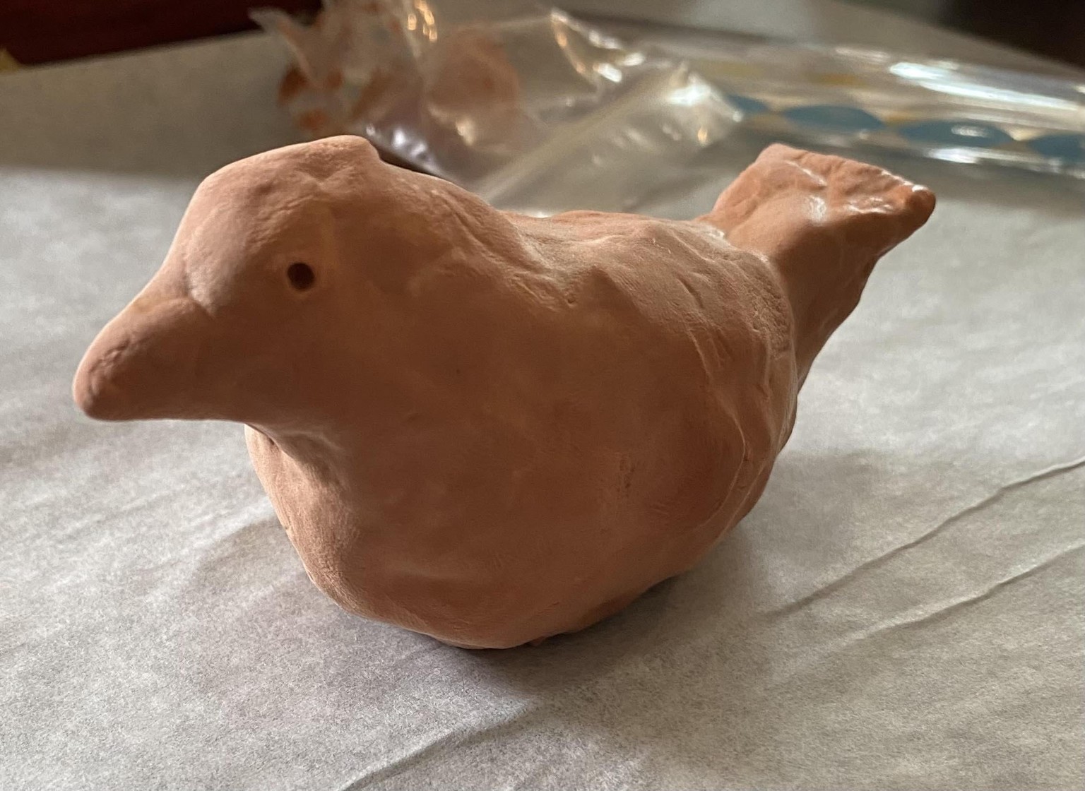 birdy - image 1 - student project