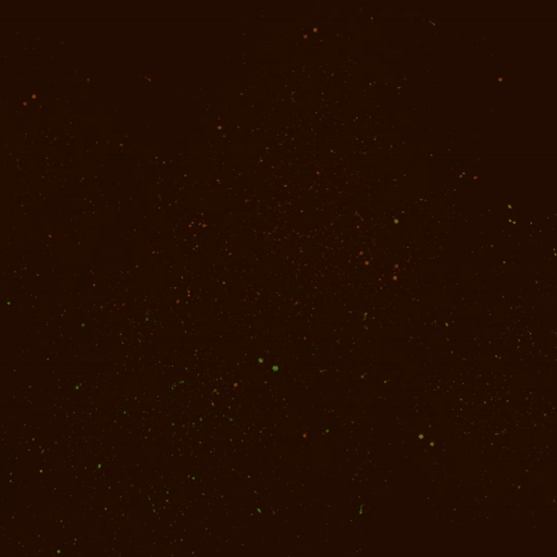Wishes for the New Year 2025 - image 6 - student project