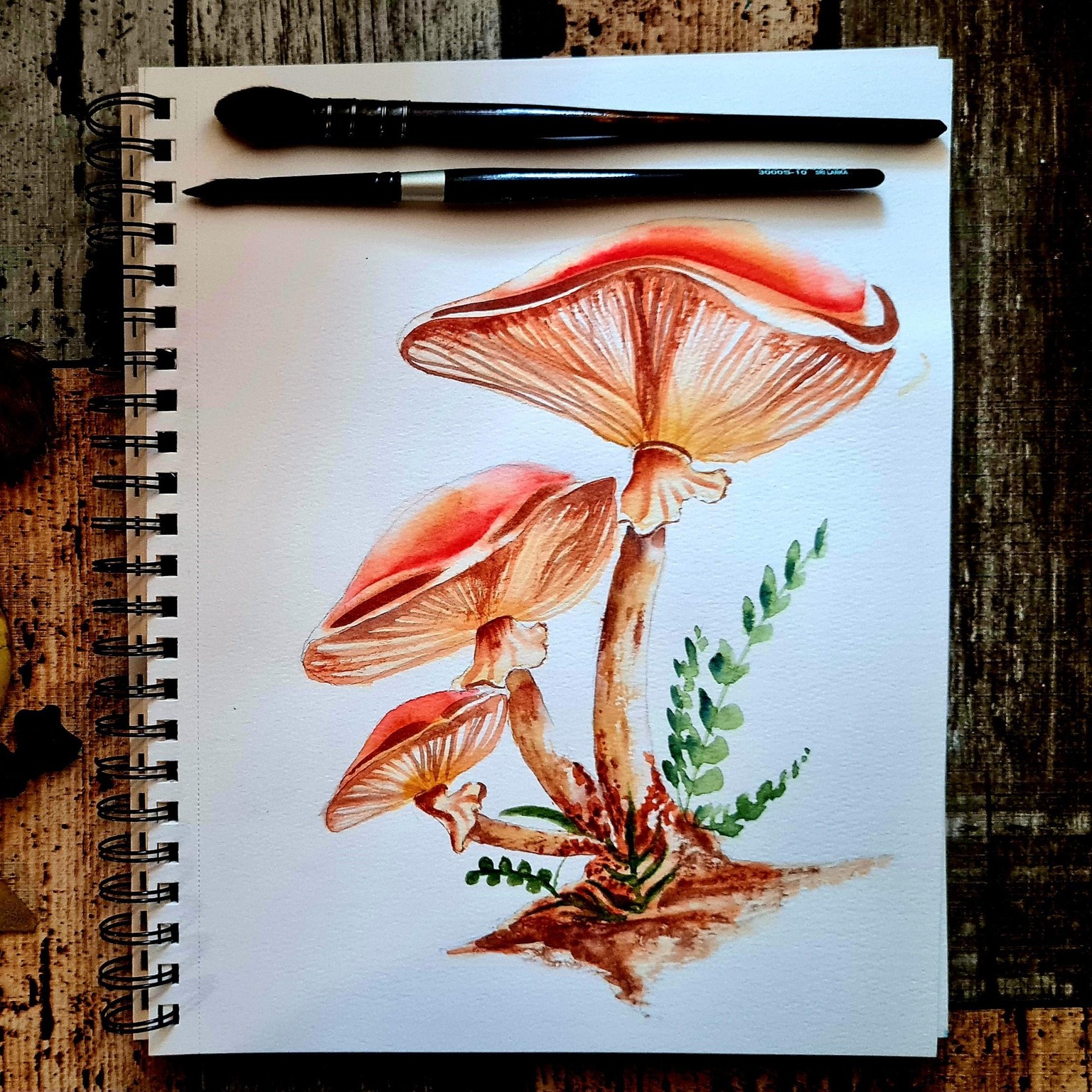 Watercolor Mushrooms - image 1 - student project