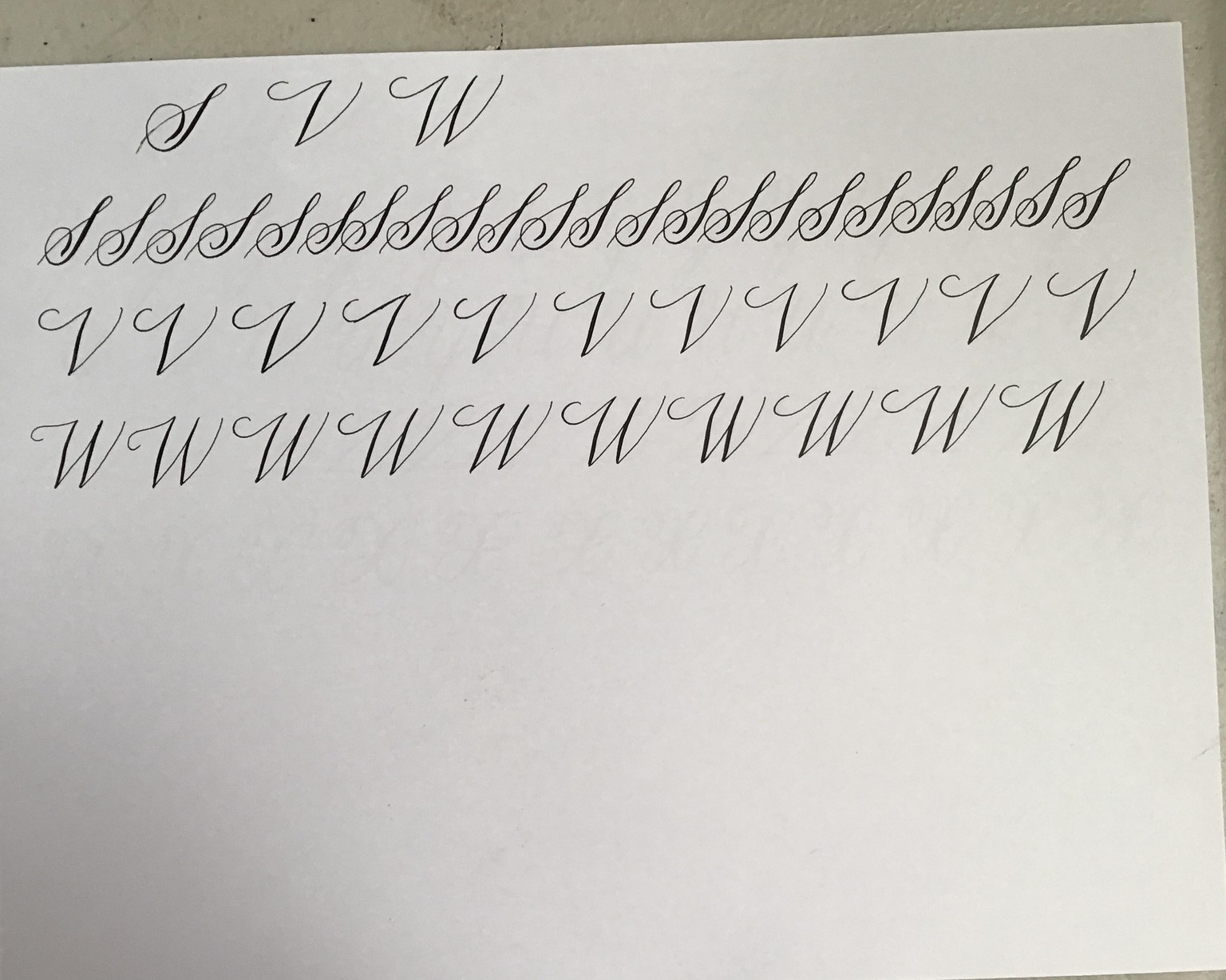 Copperplate practice - image 2 - student project
