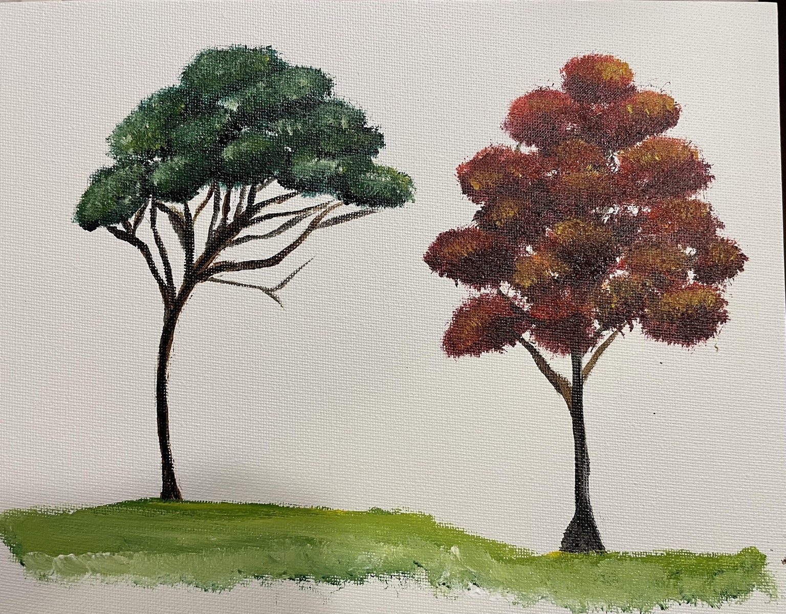 Practice Trees - image 1 - student project