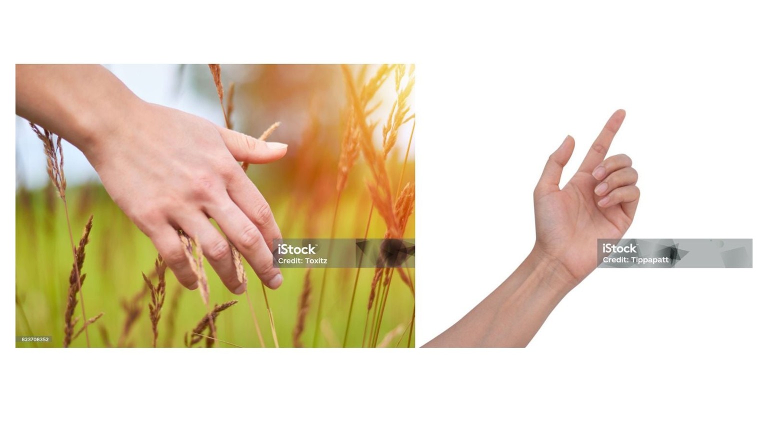 hands - image 3 - student project