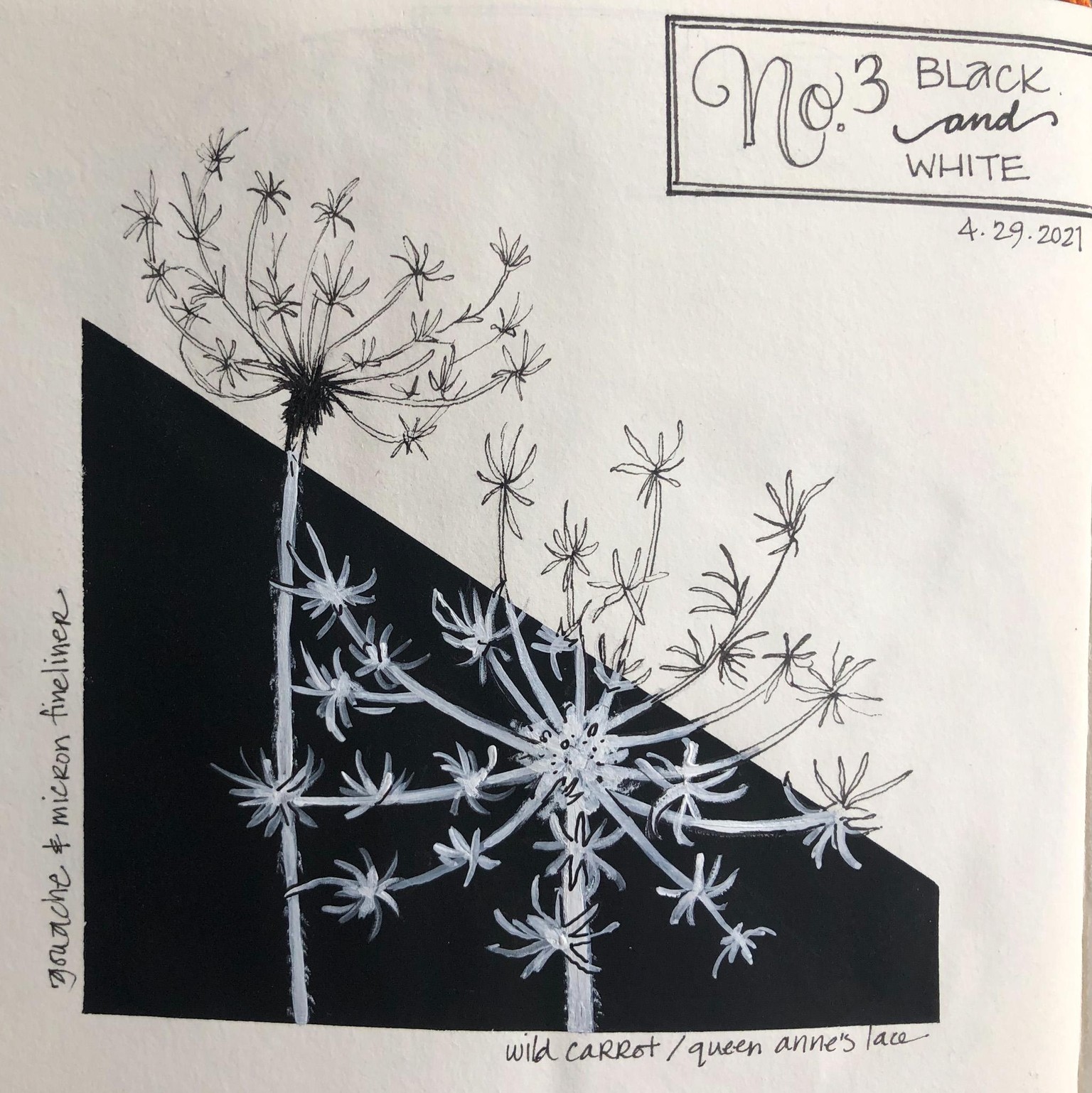 Urban Nature Journaling - image 7 - student project