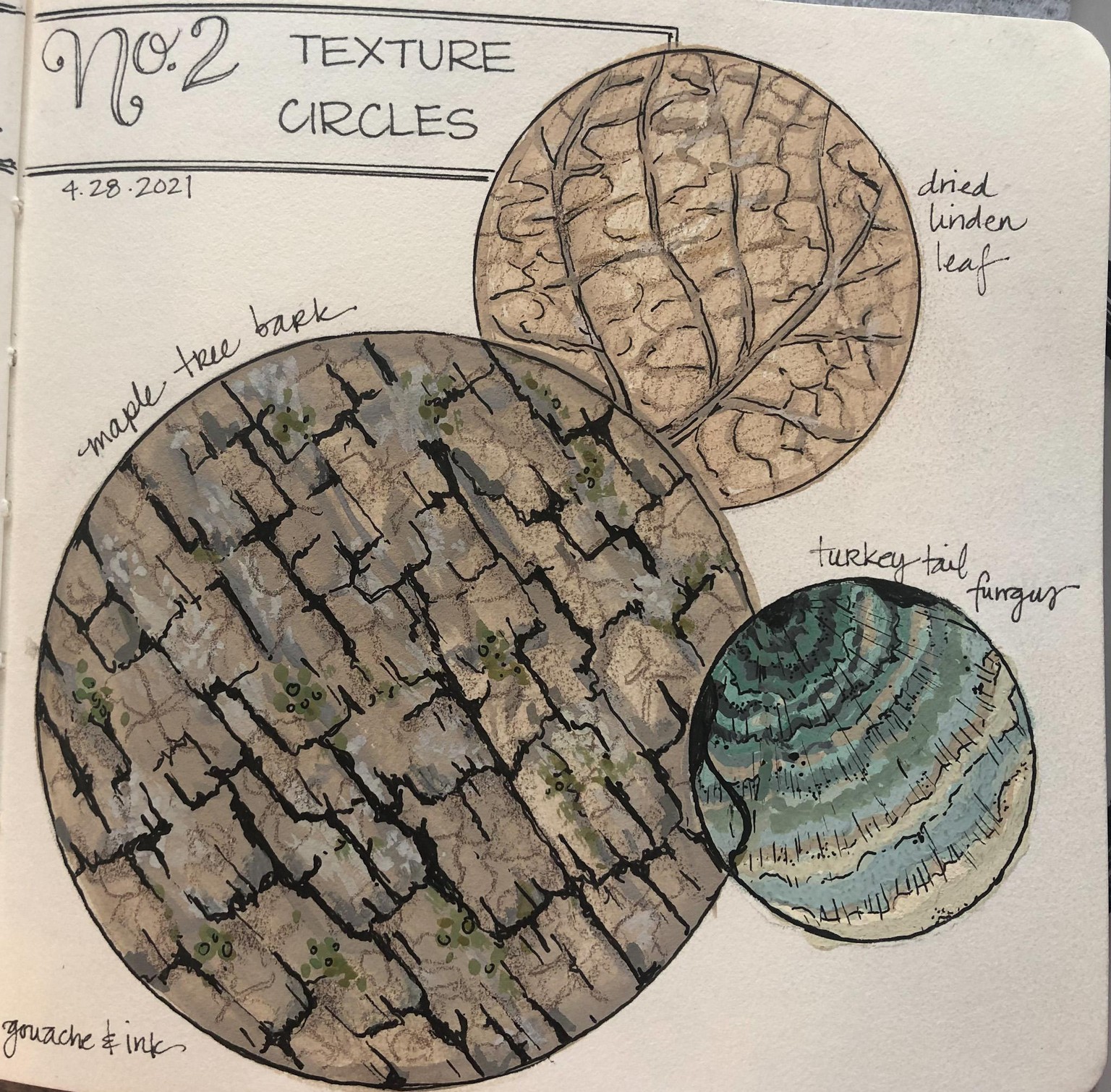 Urban Nature Journaling - image 9 - student project