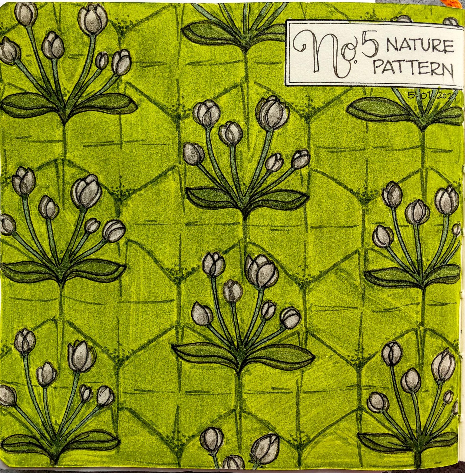 Urban Nature Journaling - image 4 - student project