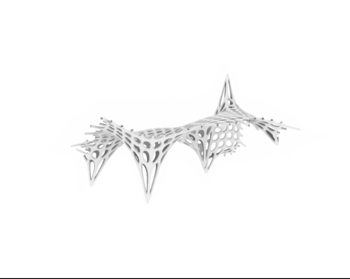 Catenary Mesh-Frei Otto - image 3 - student project
