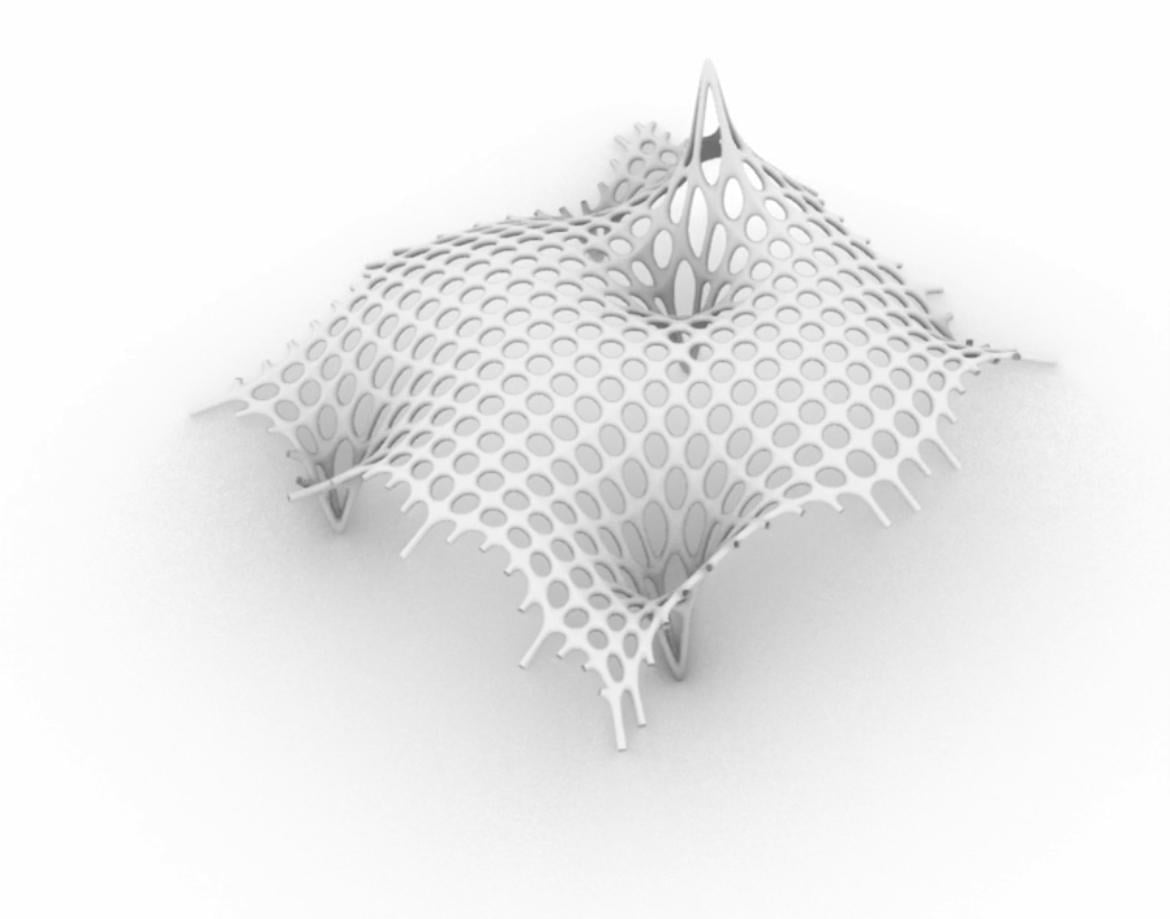 Catenary Mesh-Frei Otto - image 1 - student project