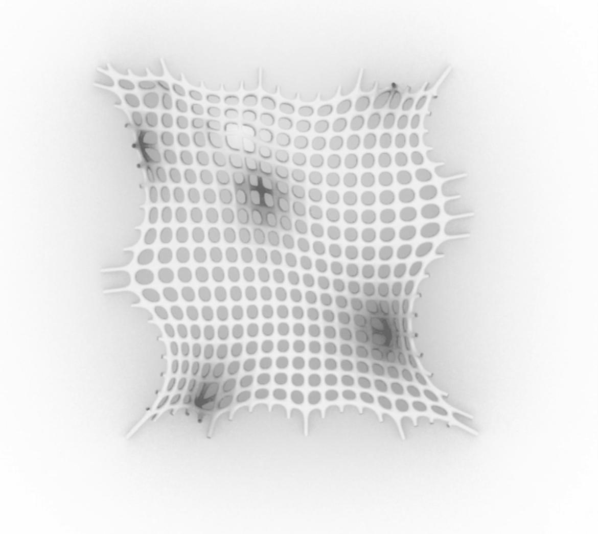 Catenary Mesh-Frei Otto - image 2 - student project