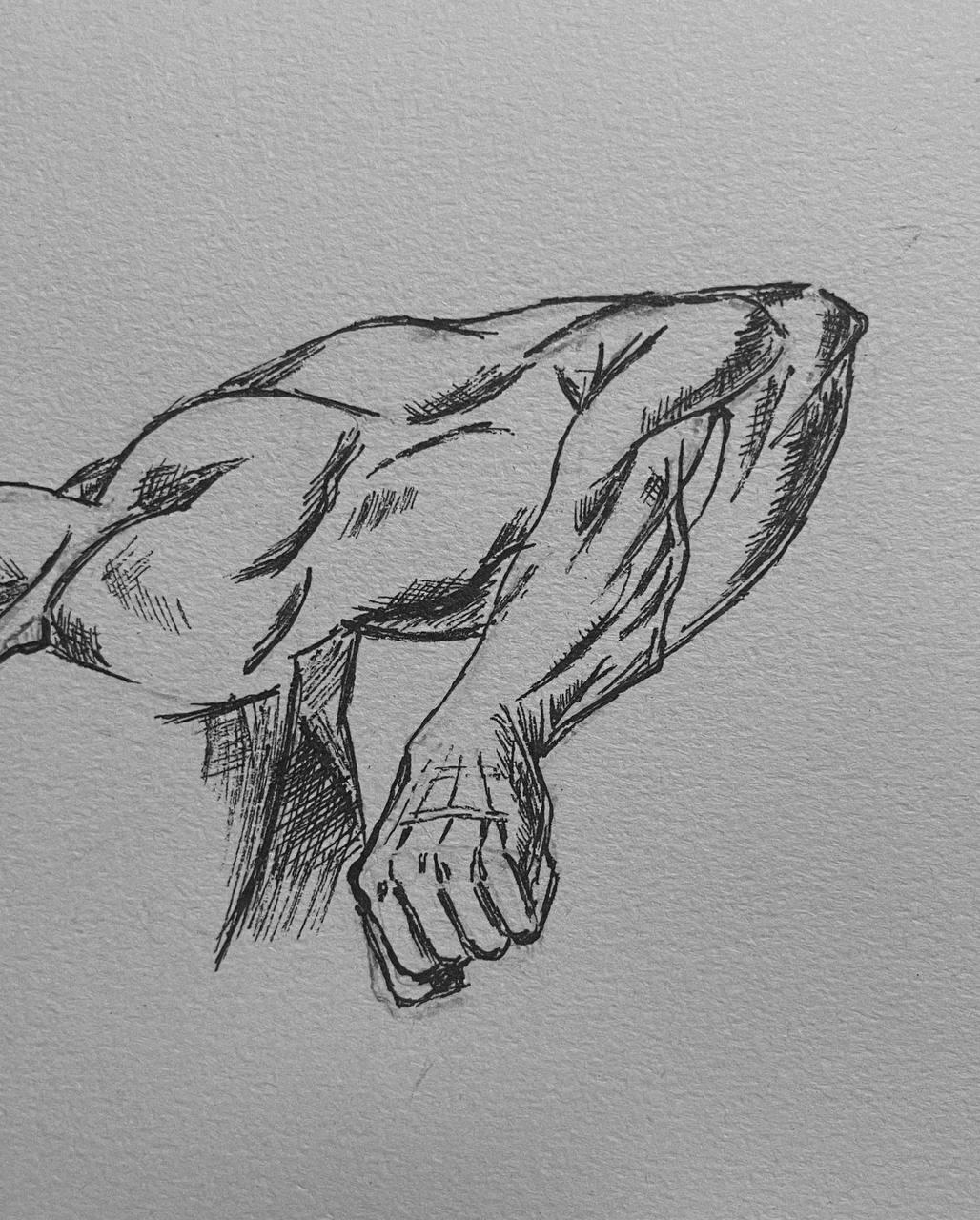 Arm muscles drawings - image 1 - student project