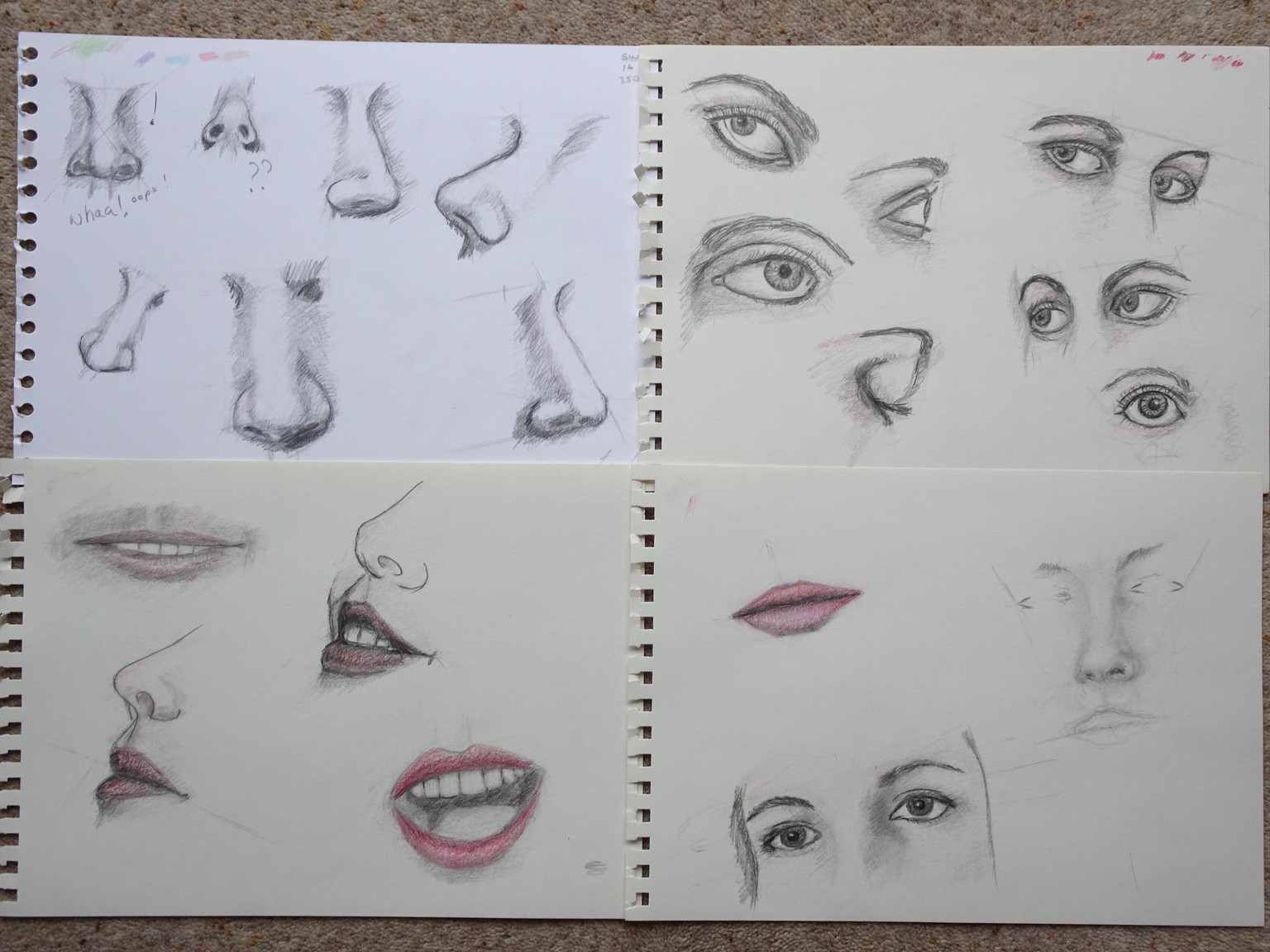 My Baroque Drawing Vol 1 - image 14 - student project