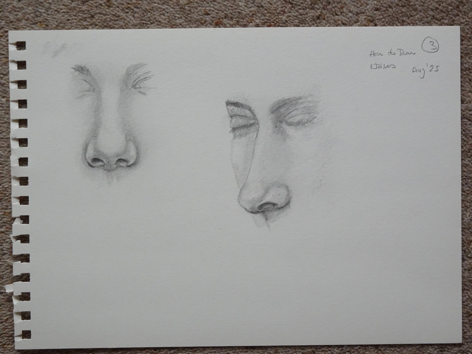 Noses - image 3 - student project