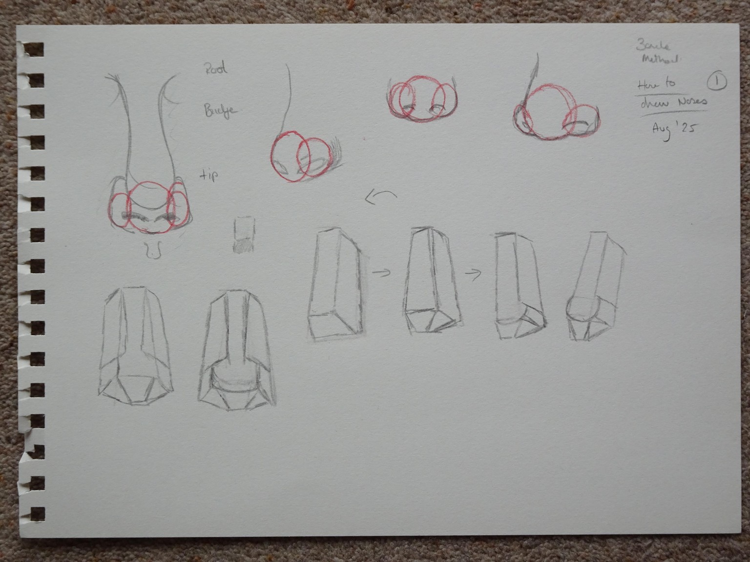 Noses - image 1 - student project