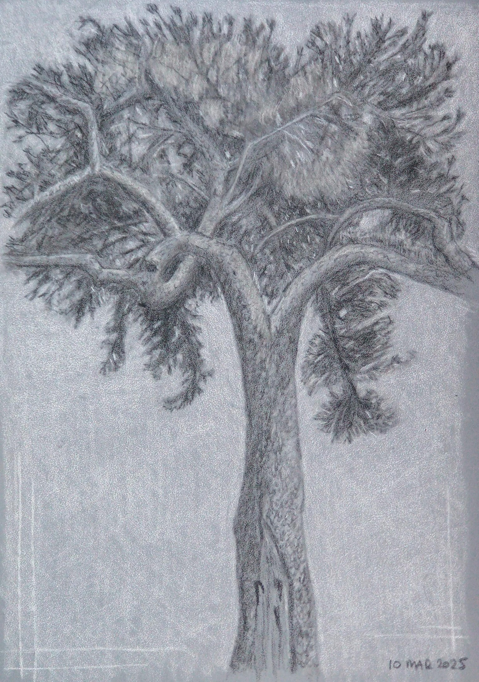 Drawing and Sketching v1 - image 2 - student project