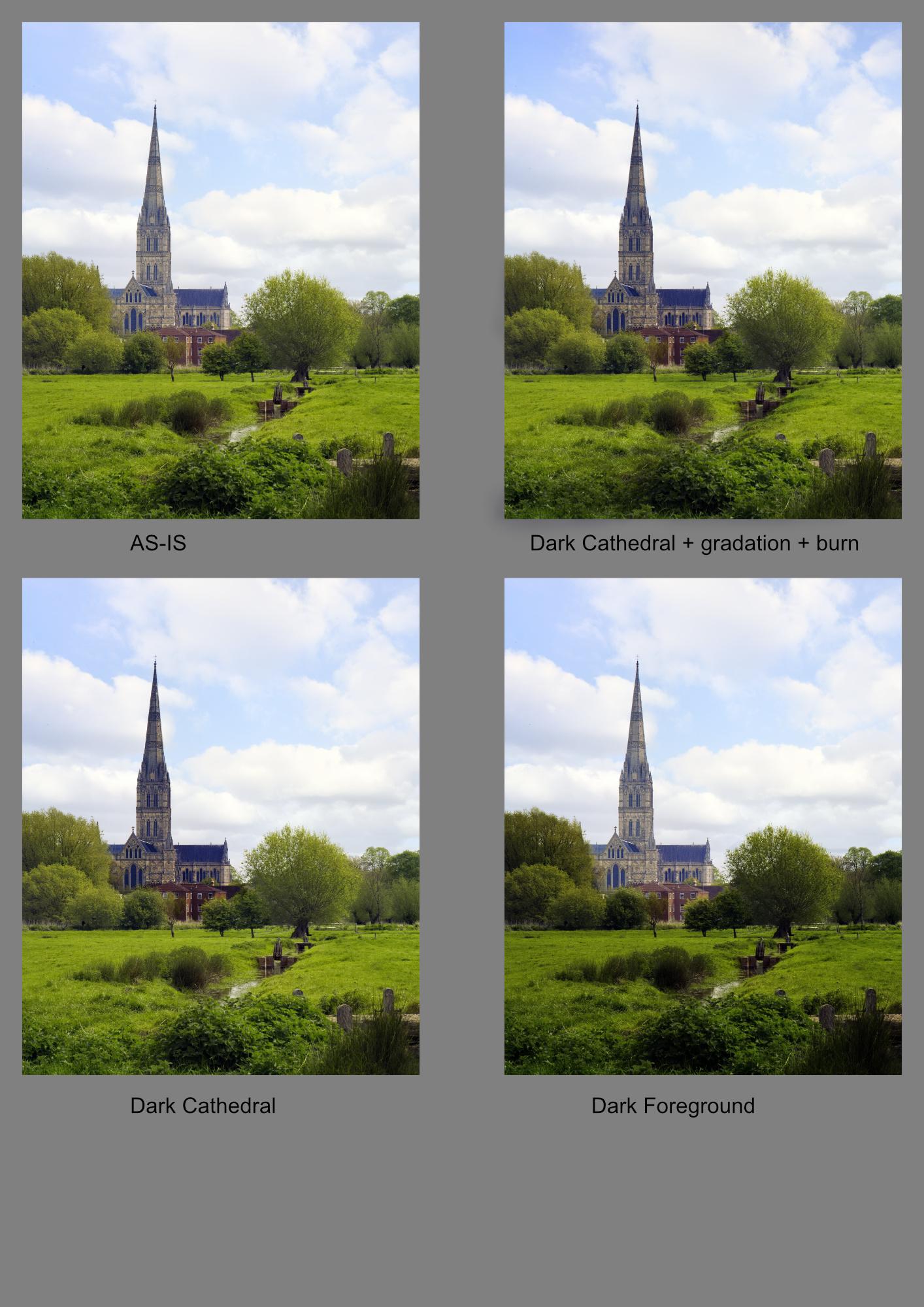 Various Contrast Studies - image 3 - student project