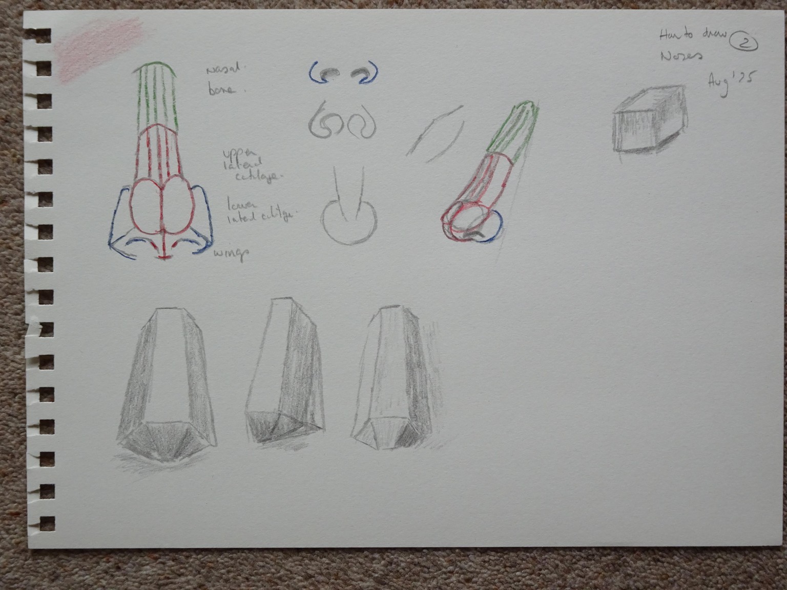 Noses - image 2 - student project
