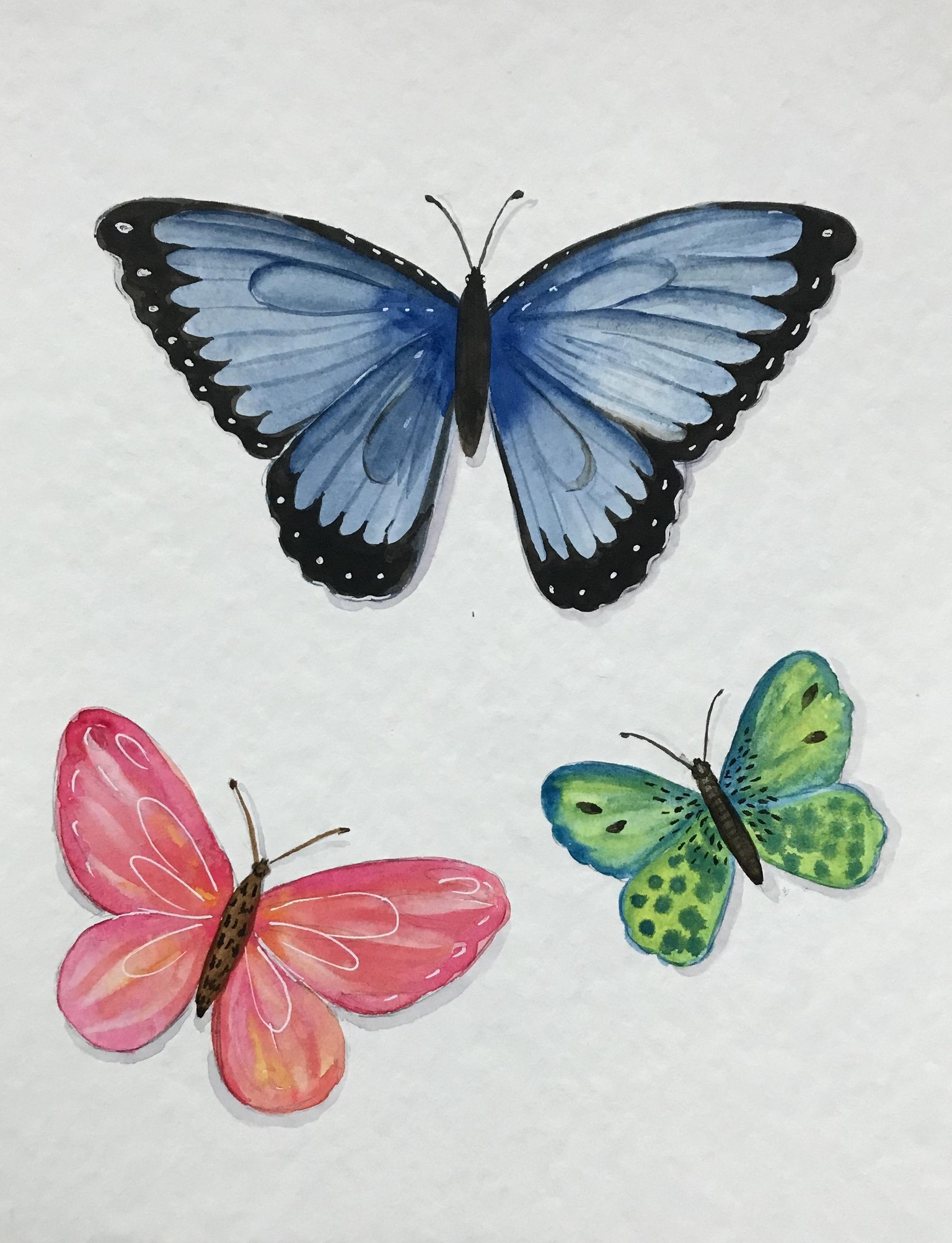 New Creation - image 2 - student project